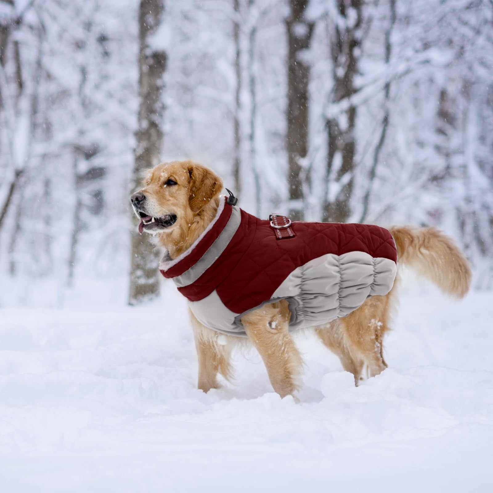 Lelepet Warm Dog Winter Coat With Harness Built In, Waterproof, Padded, Windproof, Reflective, Fleece, Turtleneck, Zippered, Sno