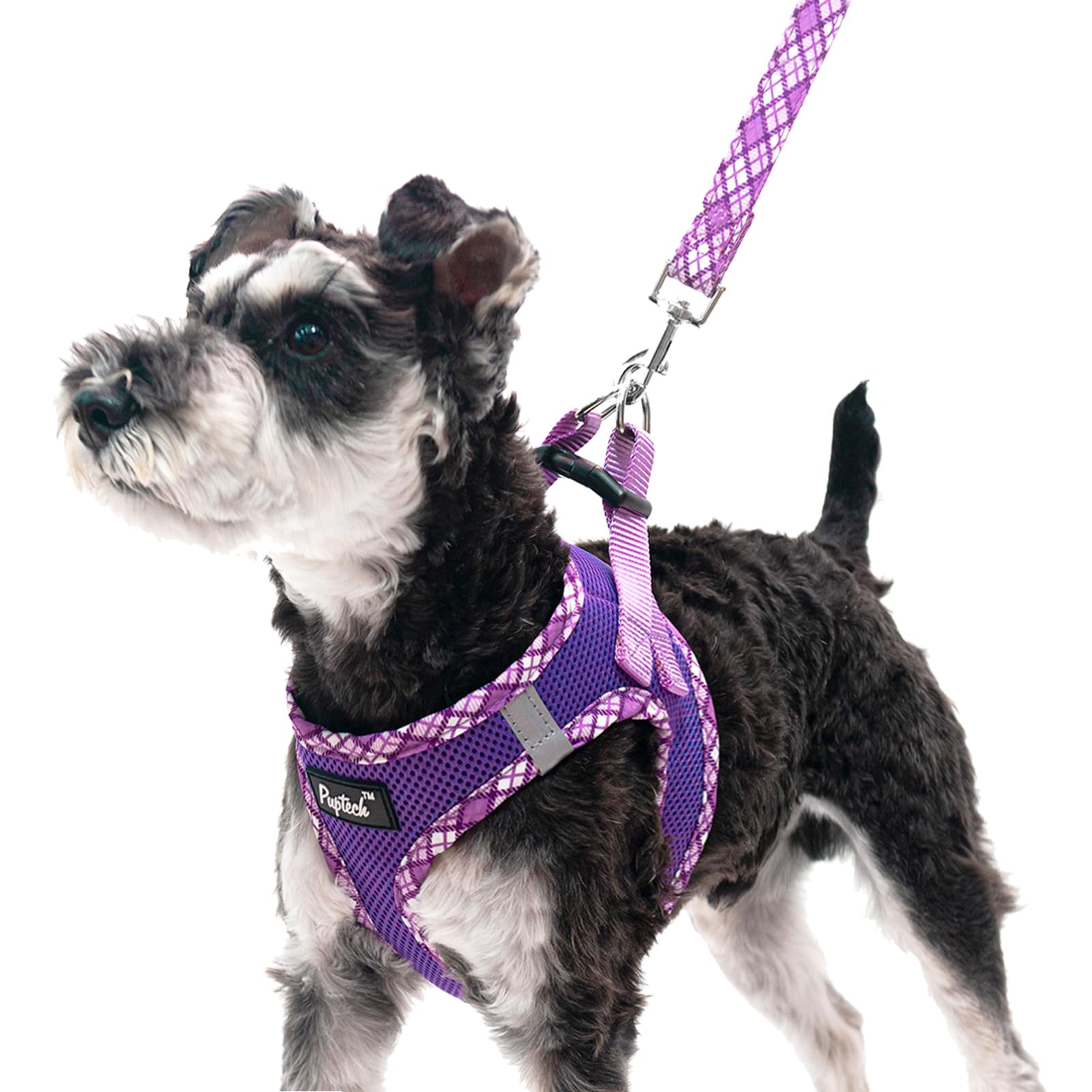 Pupteck Dog Harness And Leash Set For Small Medium Dogs No Pull Step-In Soft Mesh Puppy Cat Vest Harnesses Reflective At Night, Purple Xs