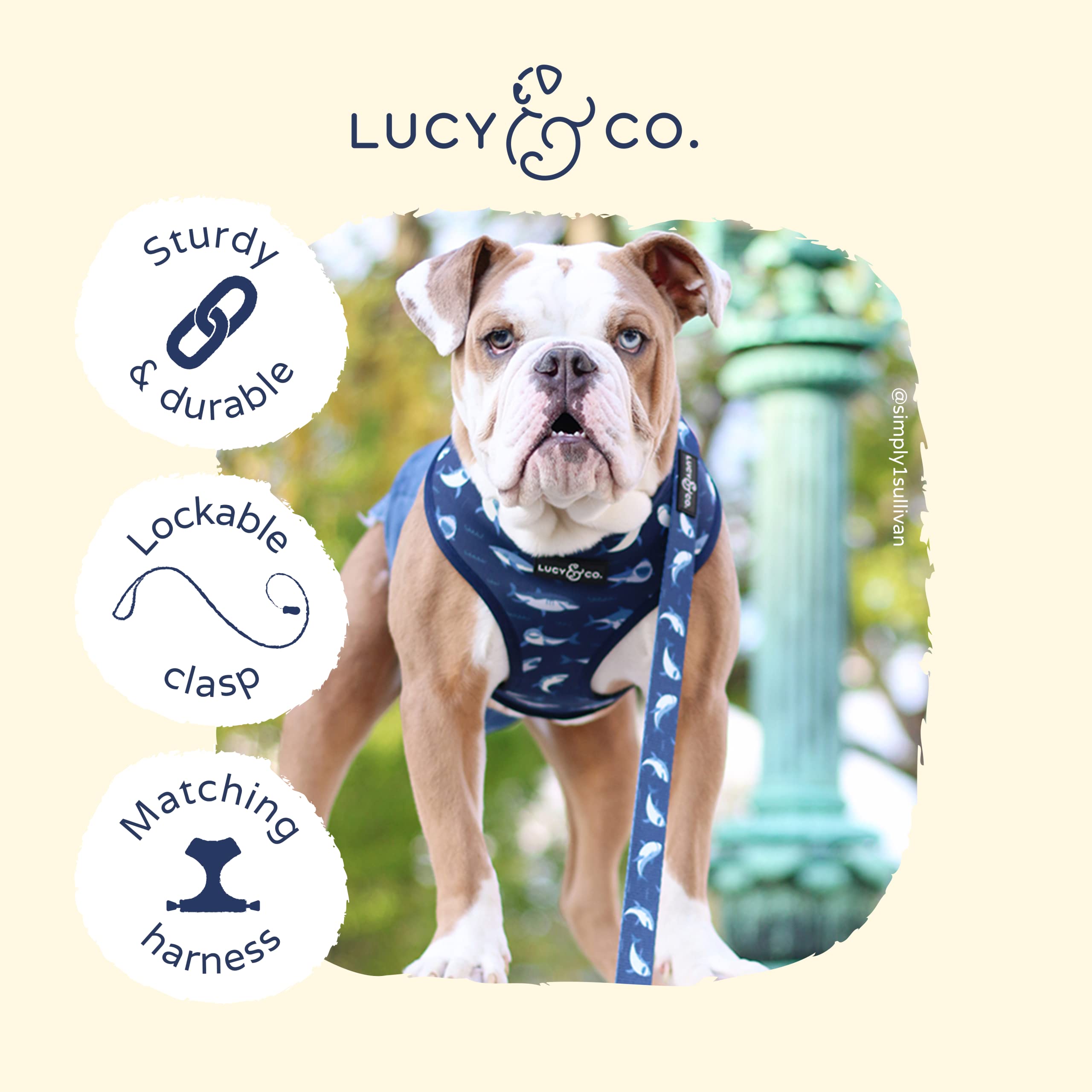 Lucy & Co. 5 Foot Designer Dog Leash - Puppy Leash - Pet Accessories & Supplies (Shark Attack, Small)