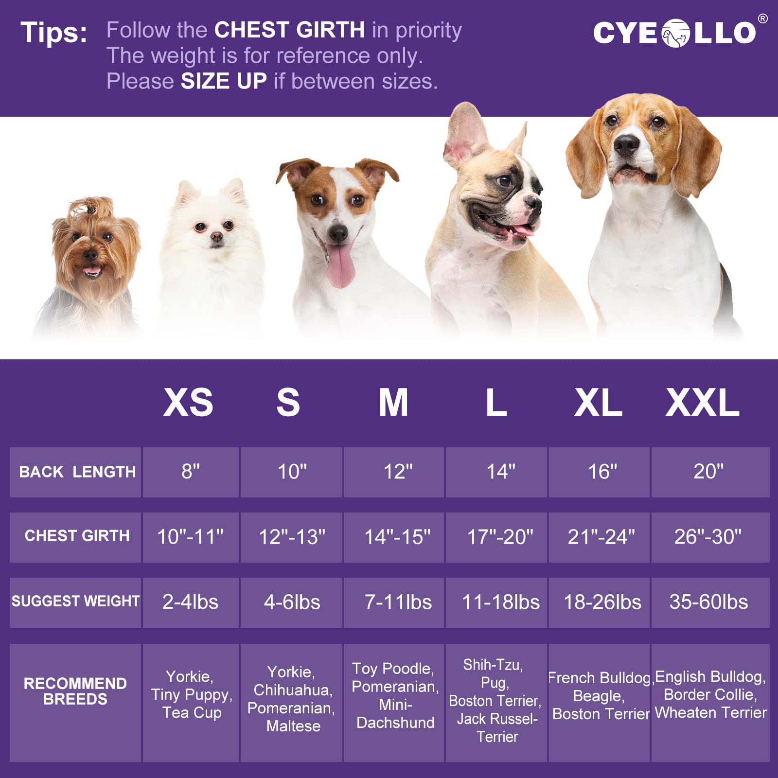 Cyeollo Dog Sweaters Turtleneck Knitted Sweater With Leash Hole Winter Pet Clothes Dog Sweaters For Small Dogs