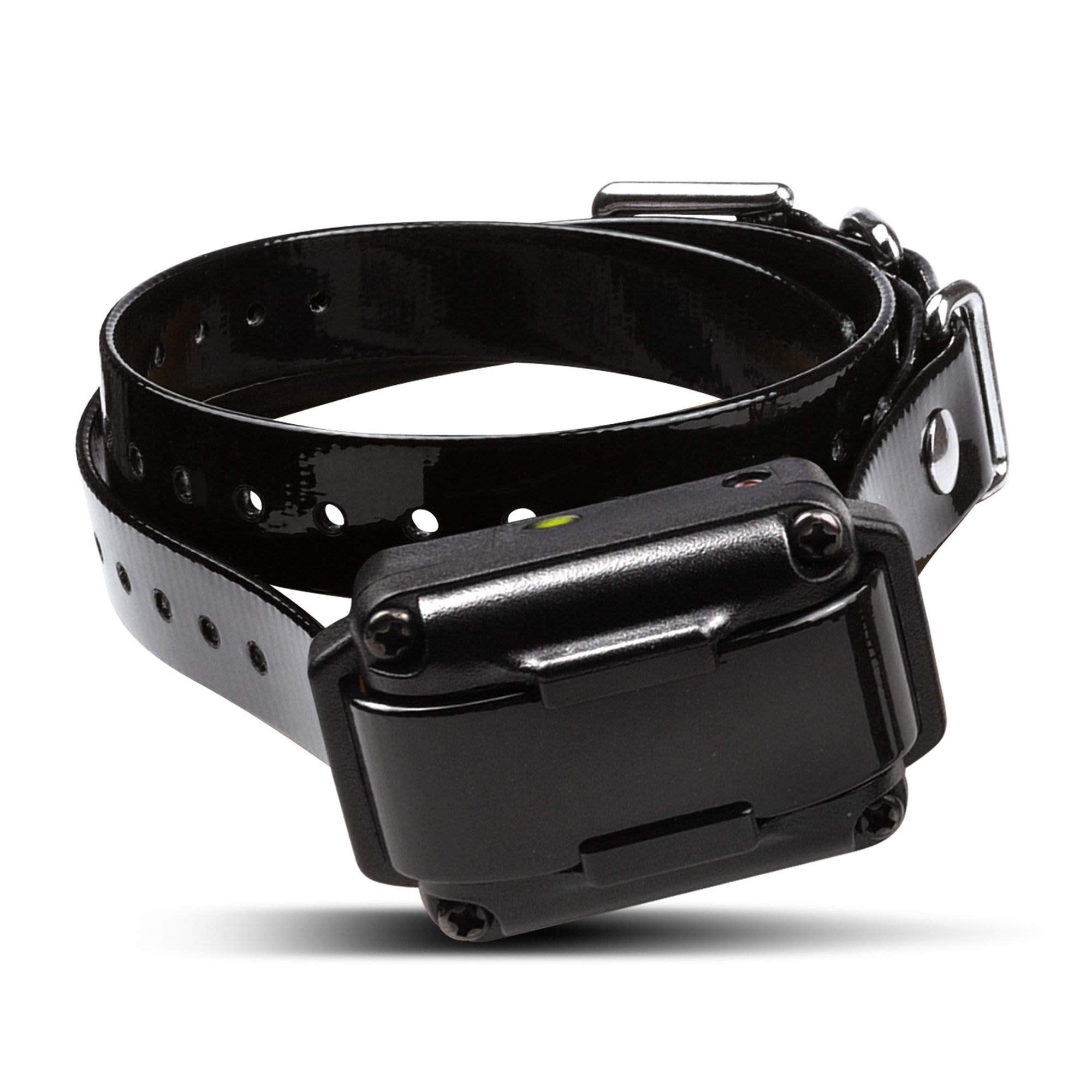 Iq Plus Remote Dog Trainer