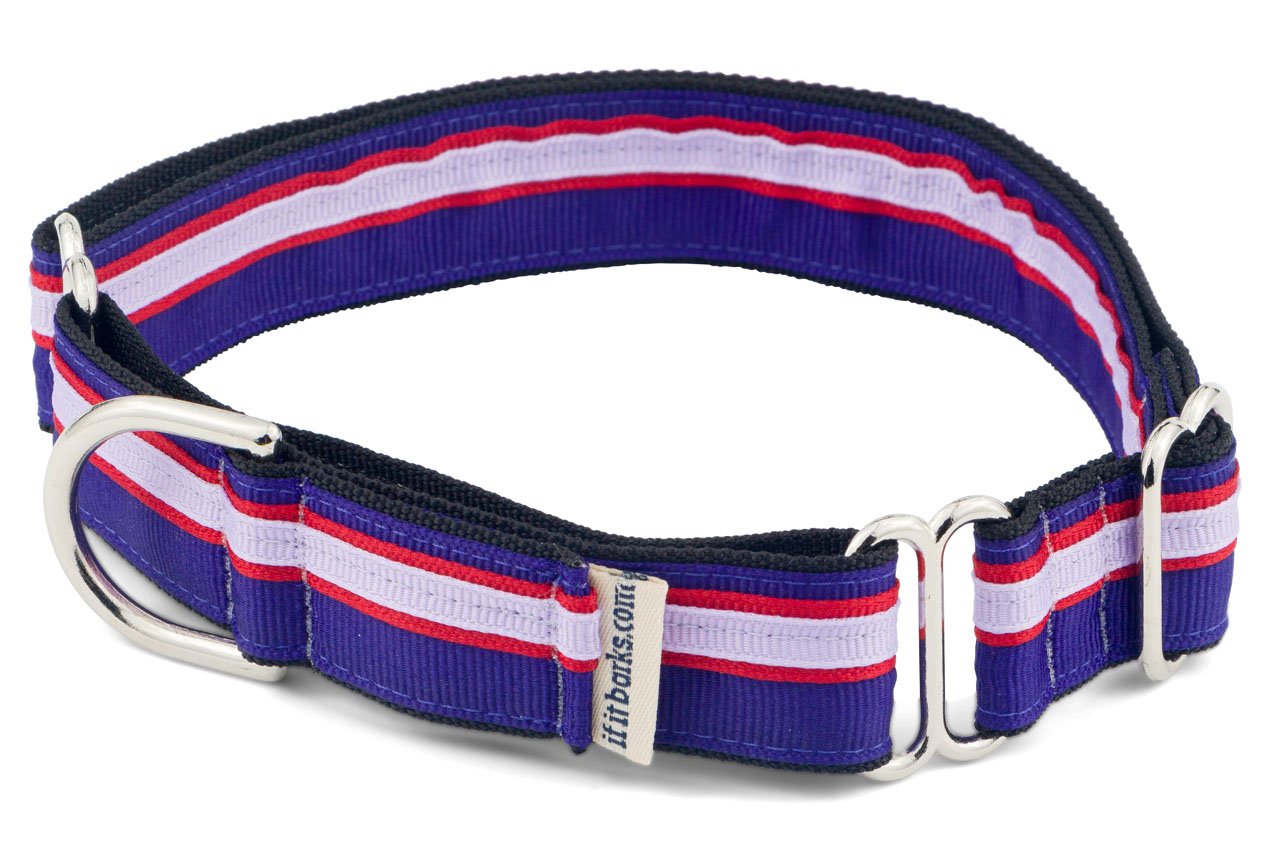 If It Barks 1 Martingale Collar Handmade Oc Stripe, Small, Jelly
