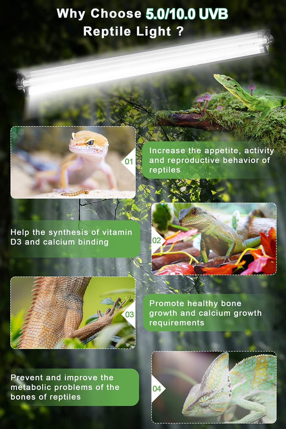 Ycxydr 24W T5 Ho Uvb Reptile Light Fixture Kit, Terrarium Hood Light With Reptile Light Desert Uvb 10.0 Fluorescent Tube,Terrari