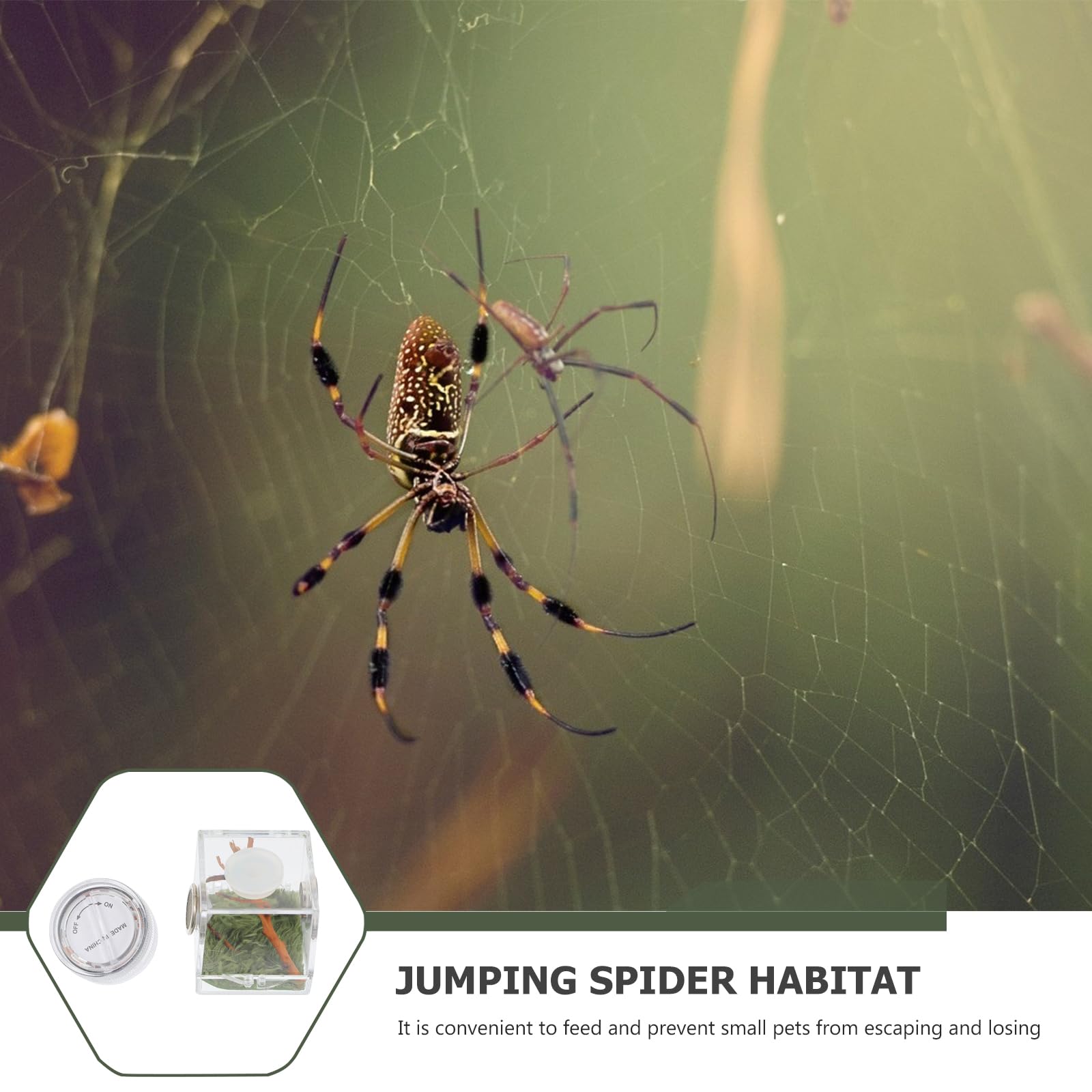 Mipcase 2Pcs Jumping Spider Enclosure, Acrylic Spider Terrarium Transparent Jumping Spider Habitat For Jumping Spider Accessorie