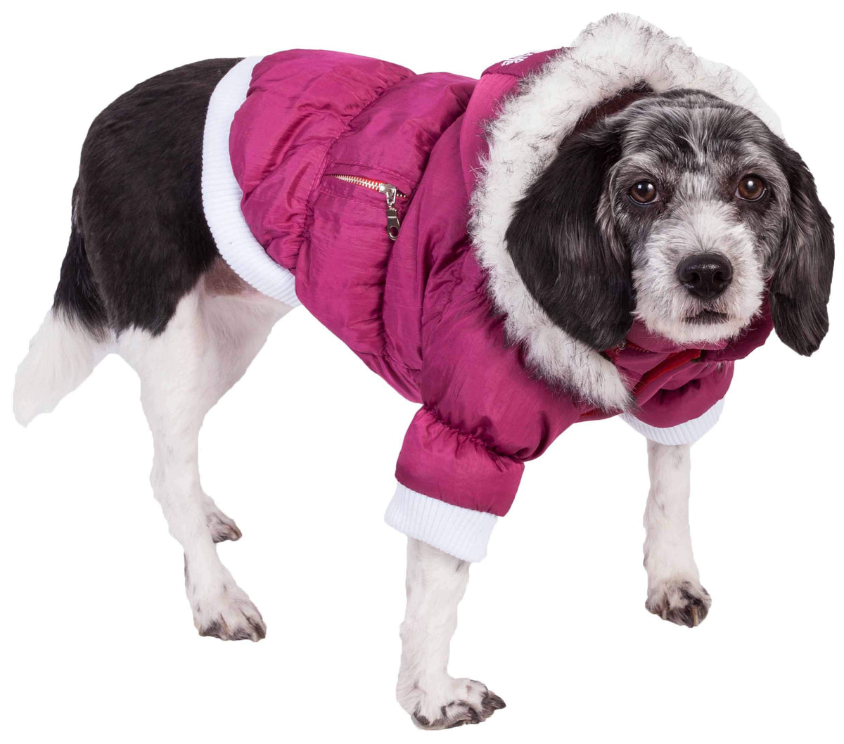 Pet Life Fashion Parka with Removable Hood - Pink Metallic - Medium