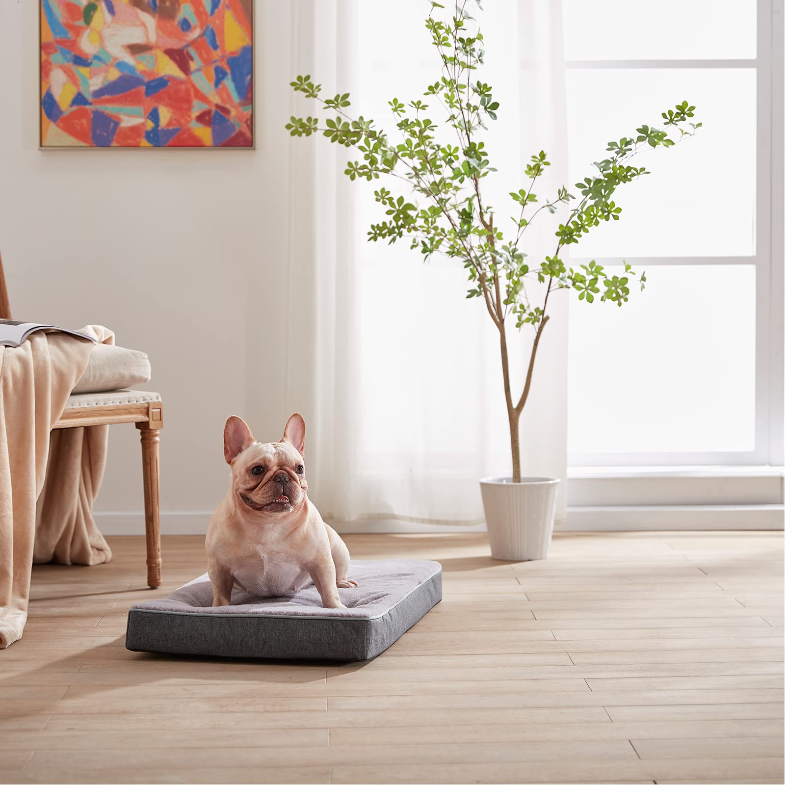 Urgvanz Pet Orthopedic Memory Foam Dog Bed,Cooling Dog Beds For Medium Dogs, Washable Pet Beds For Crate With Faux Fur Cover, Wa