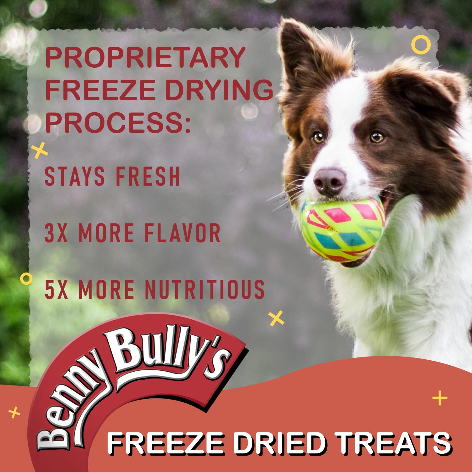 BENNY BULLYS Chops Beef Liver Dog Treats, Freeze-Dried, Low Fat, High Energy & Nutrient Rich Food for Your Furry Friend, All Nat