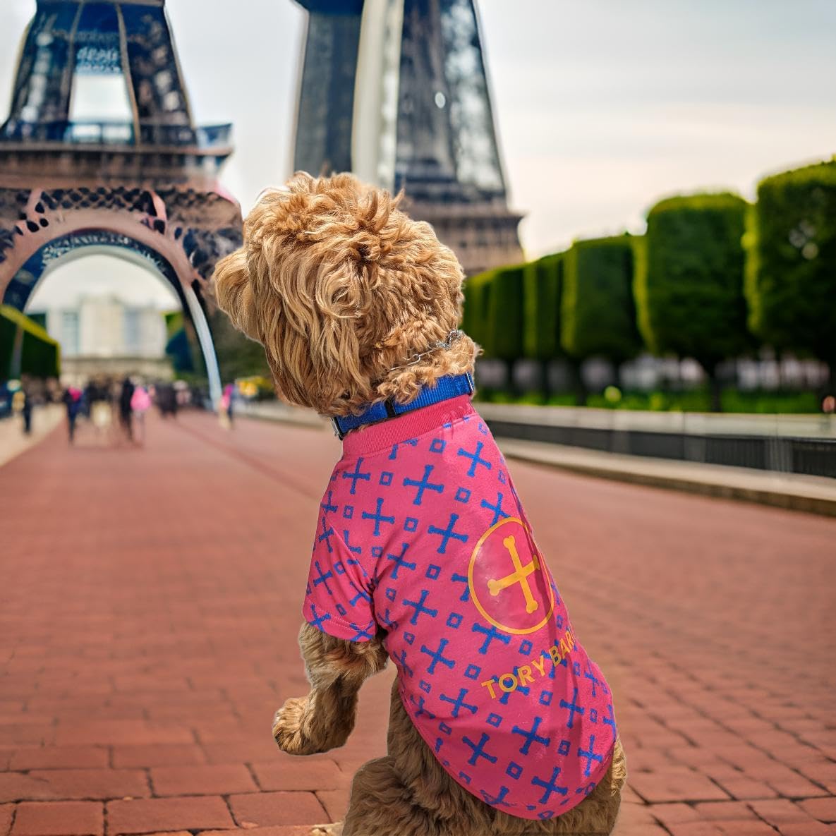 Dog T-Shirt Tee Clothes Vest Lightweight Stretchy Soft Cool Breathable Puppy (Pink, Medium)