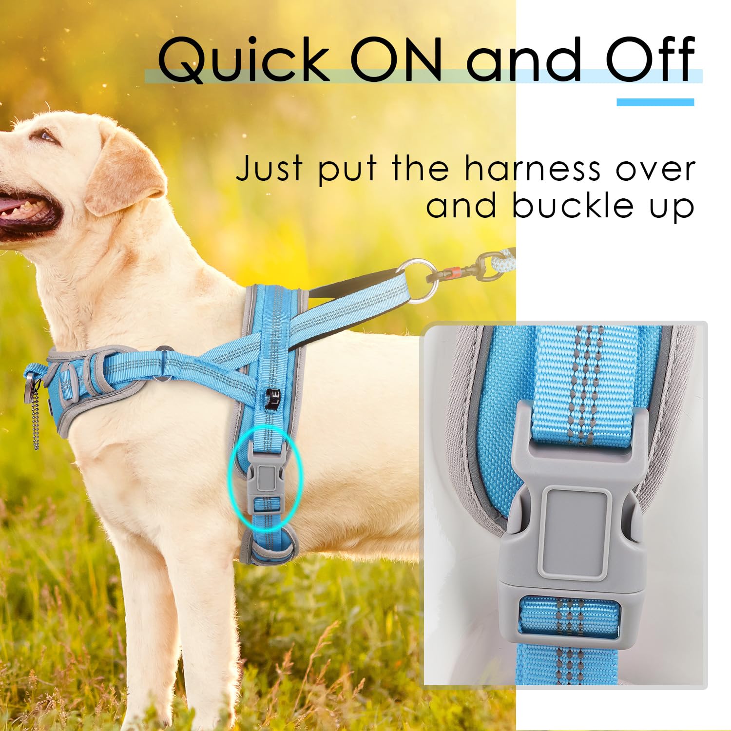 Adventuremore Dog Harness Small, No Pull With Qr Code Dog Tag, Adjustable Reflective Dog Vest, Escape Proof, Easy Control Front