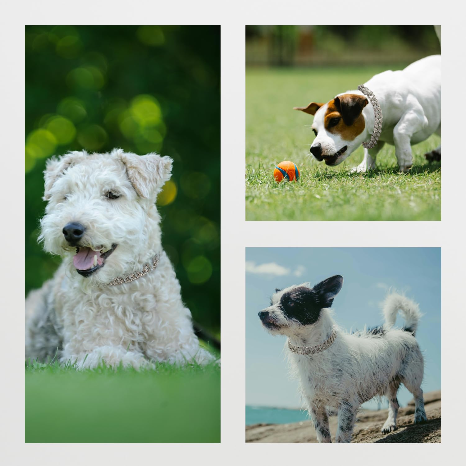 Dog Chain Diamond Collar Silver Walking Metal Chain 12 Mm Wide Necklace With Secure Buckle Pet Cuban Style Collar Jewelry Access