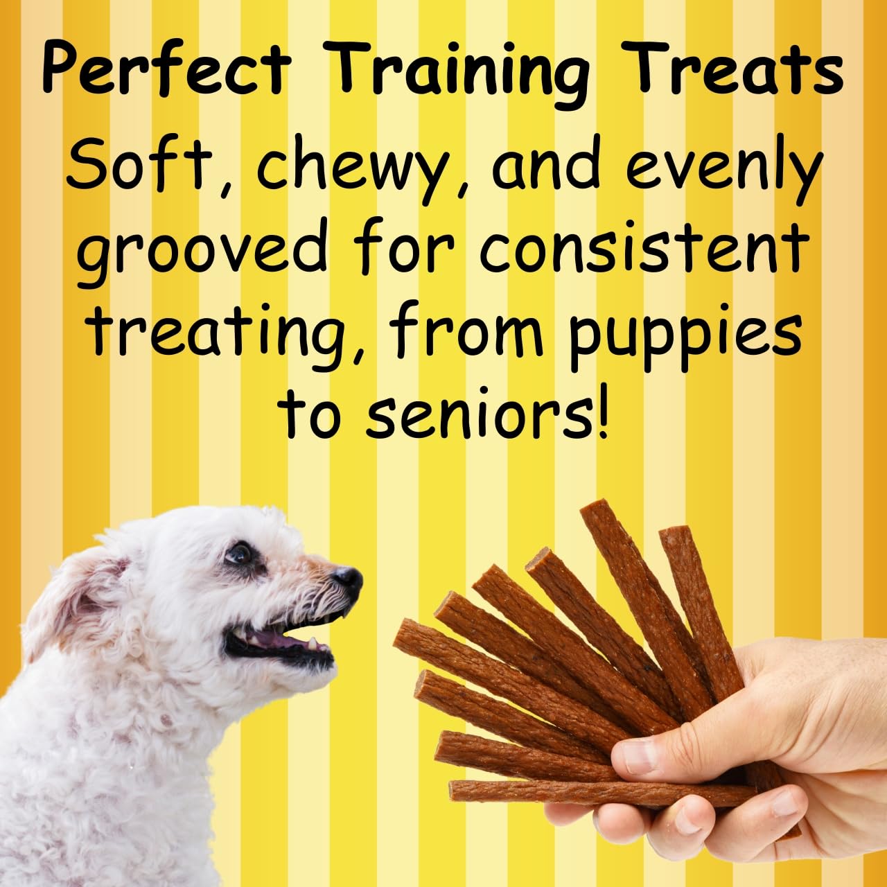 Fetch Fries Chicken and Sweet Potato Dog Treats, Soft Chicken Jerky for Small and Large Breeds, Naturally Healthy, Made in The U