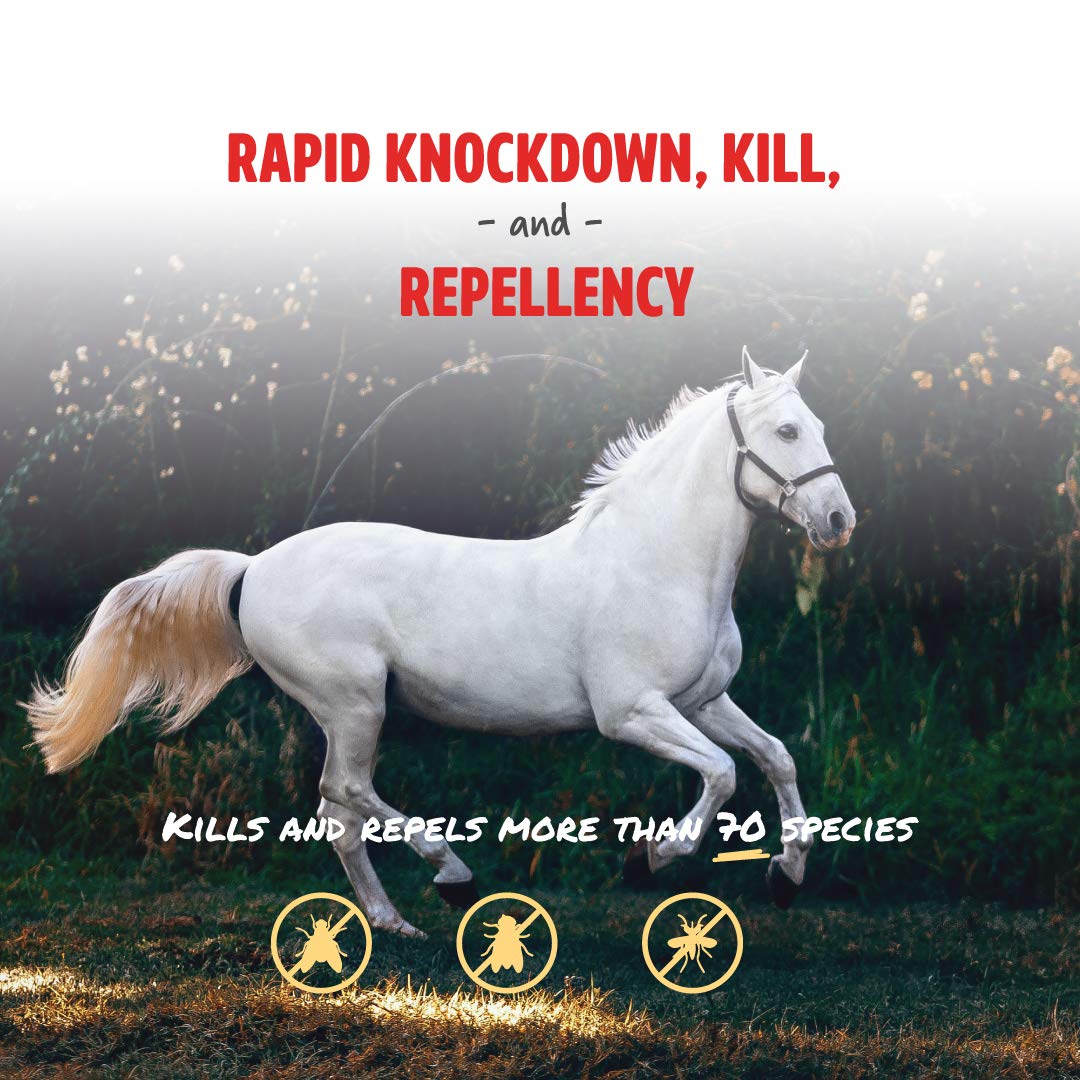 Manna Pro Pro-Force Fly Spray - Rapid Knockdown Fly Repellent for Horses - Repels More than 70 Listed Species for up to 14 Days