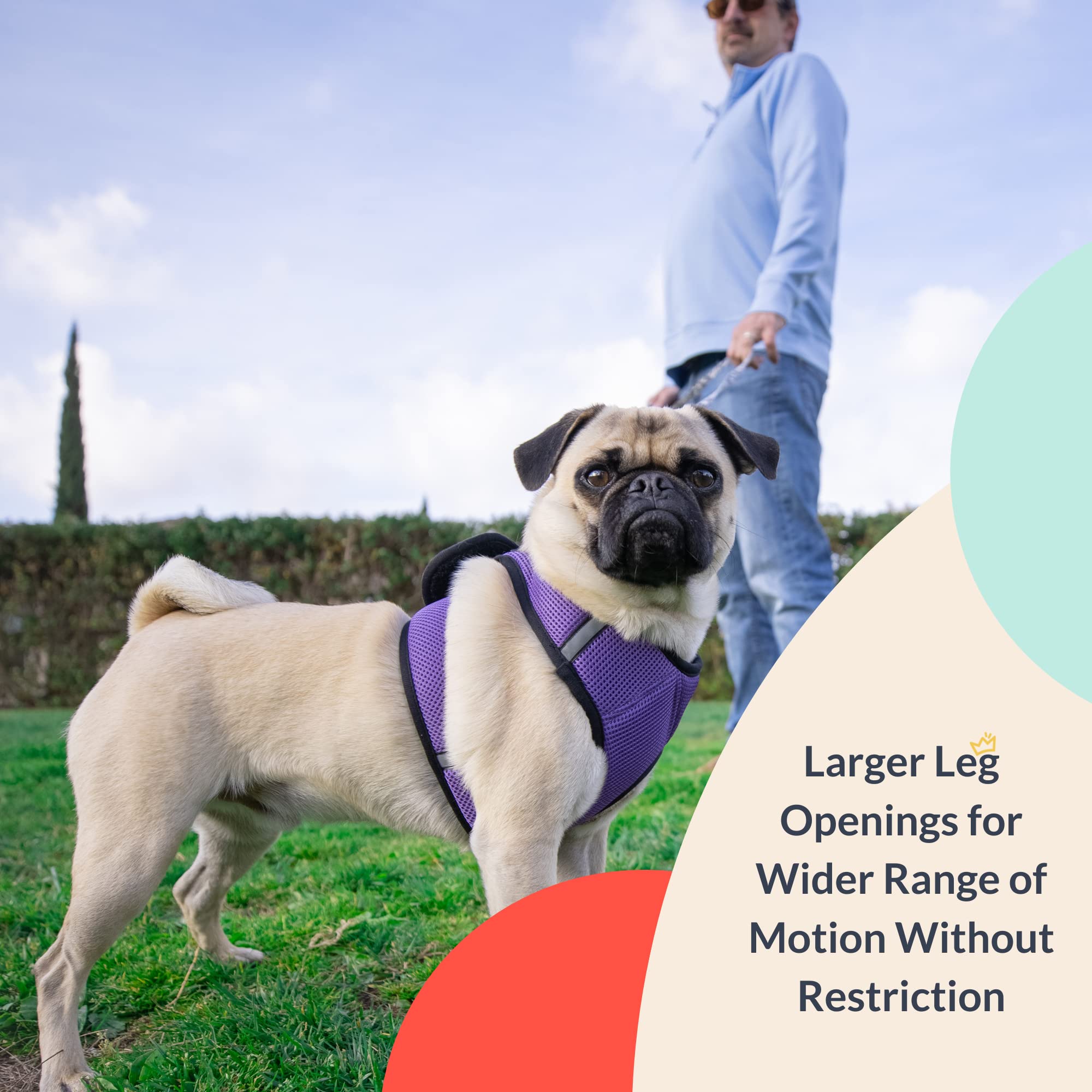 Huxley & Kent Hudson Purple Small Walking & Training Harness - Easy Control Step-in Mesh Vest with Reflective Strips for Safety (10-15lbs)