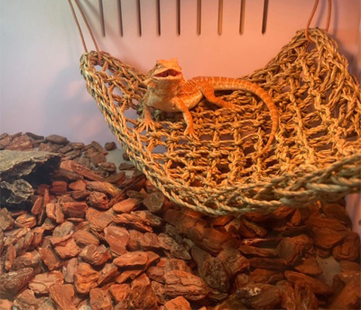 Tfwadmx 2 Pack Bearded Dragon Hammock, Reptile Climbing Decor, Lizard Lounger 100% Natural Seagrass Fabric Hammock For Reptiles, Geckos, Anoles, Iguanas, Hermit Crabs, Triangular