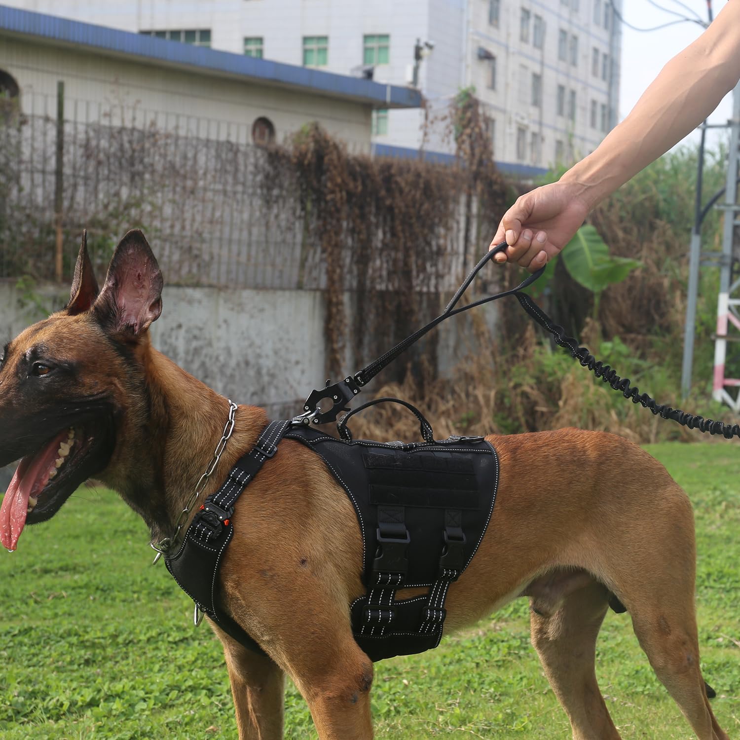 Icefang Tactical Dog Leash,K9 Training Walking Bungee Lead With 2 Control Handle,Heavy Duty Quick Release Metal Clasp,Hands Free