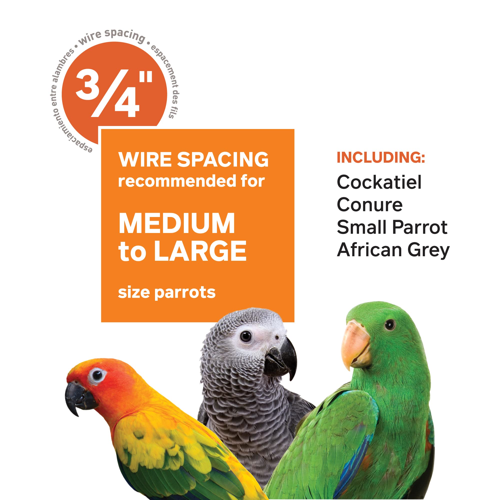 Prevue Pet Products Wrought Iron Select Bird Cage 3154Blk, Black Hammertone, 36-Inch By 24-Inch By 66-Inch