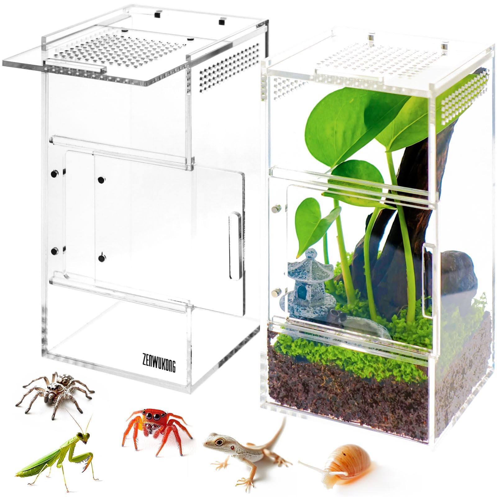 Jumping Spider Enclosure - Acrylic Terrarium Habitat For Spiders, Tarantulas, Snail, Mantis, Lizard, And Small Reptiles, Magneti