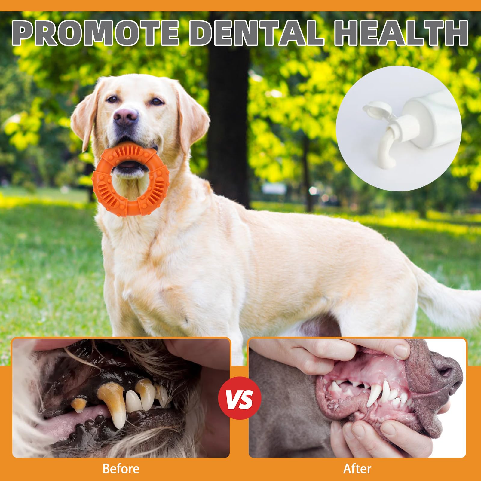 Kooltail Dog Chew Toys For Aggressive Chewers, 3 Pack Durable Tough Bone For Teeth Cleaning, Non-Toxic Rubber Indestructible Dog