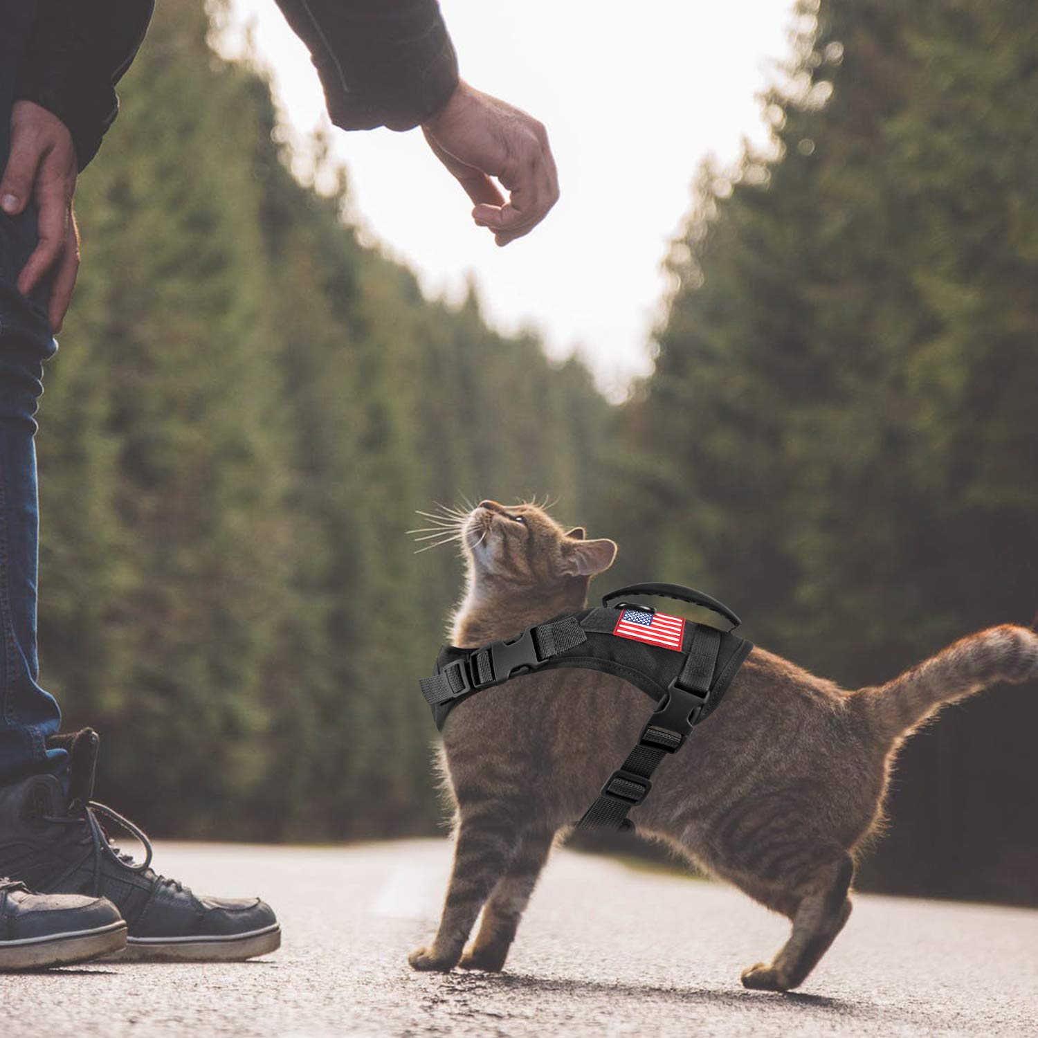 Hanshengday Tactical Service Dog Vest Harness, Outdoor Training Military K9 Patrol Dog Vest With Molle & Loop Panels Adjustable Tactical Dog Vest Harnesses With Handle (Xs, Black)