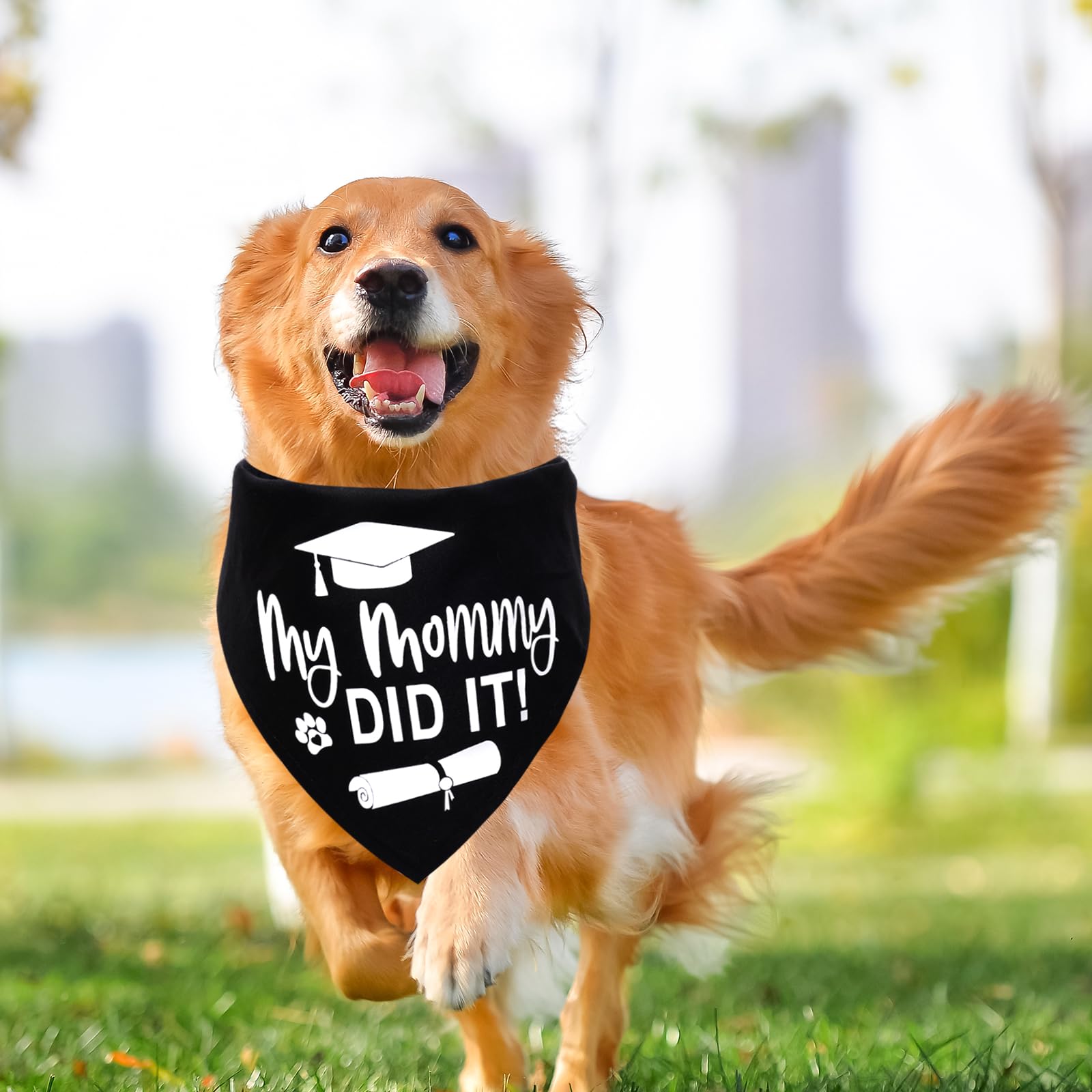 Sumersha Dog Graduation Bandana, My Mommy Did It Dog Bandana Graduation Outfit Black Dog Scarf For Small Medium Large Dogs