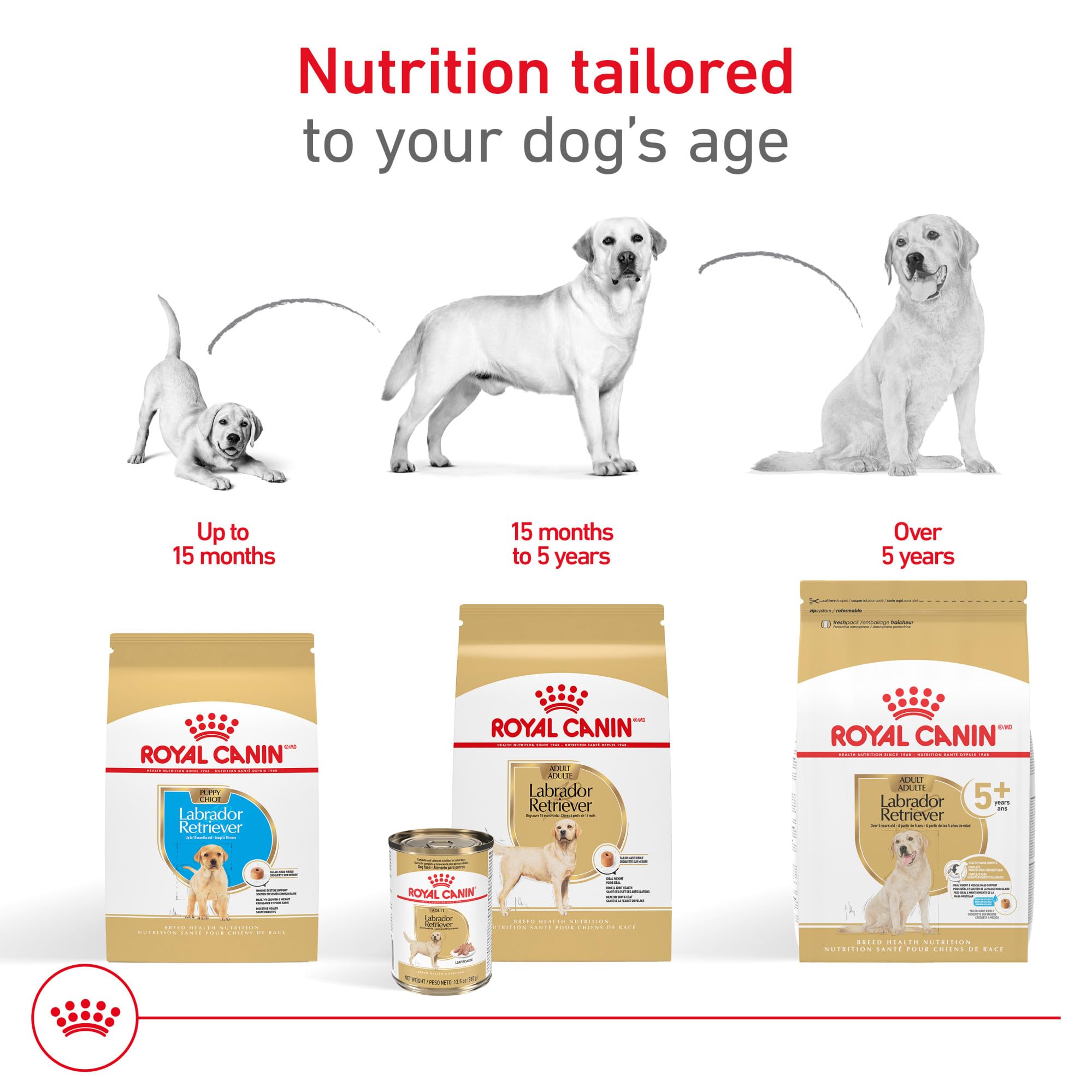 Royal Canin Breed Health Nutrition Labrador Retriever Adult Loaf in Sauce Dog Food, 13.5 oz (Pack of 12)