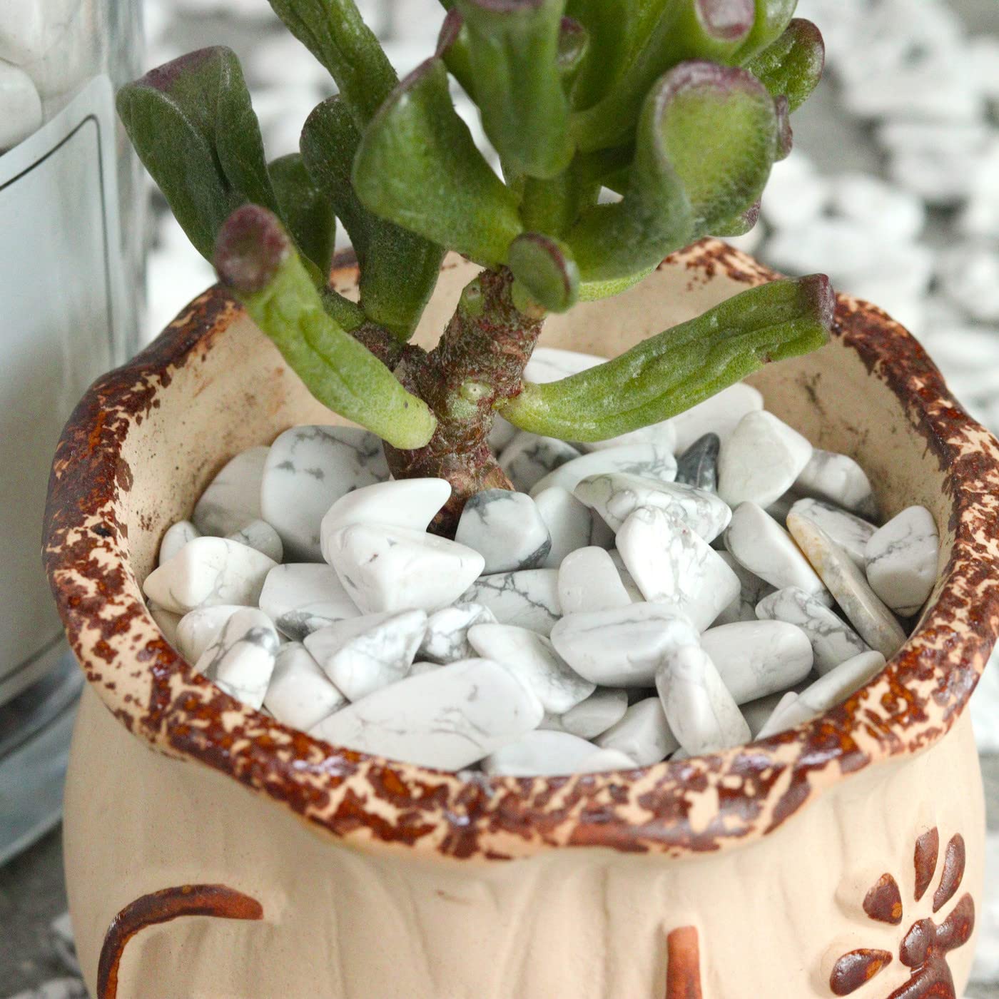 Howlite Aquarium Gravel Rocks Natural Tumbled Healing Crystal Chips Bulk Gemstones Crushed Stones For Fountain Vase Filler Planters Decorative Fish Tank Potted Reiki Energy Balancing 0.45Lb