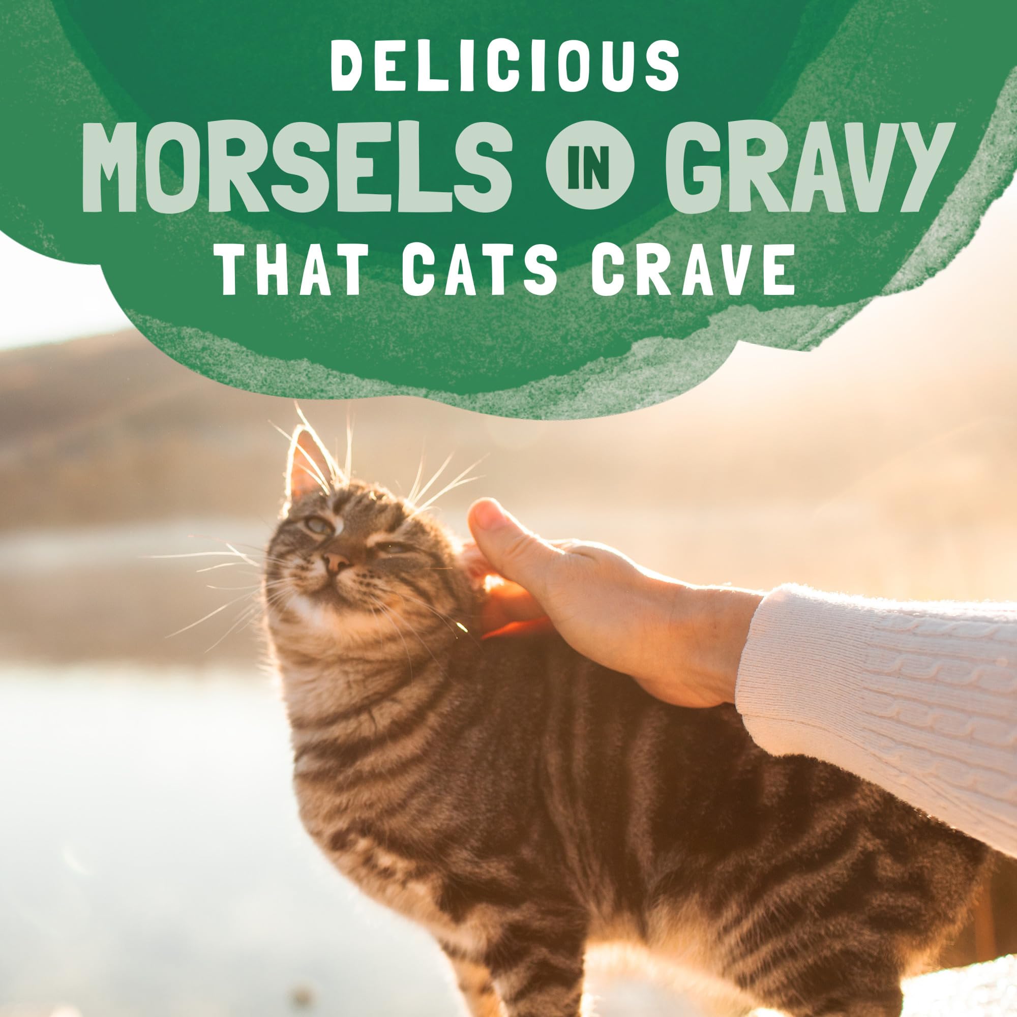 Natural Balance Original Ultra Platefulls Adult Grain Free Wet Cat Food Salmon, Chicken & Giblets Formula in Gravy, 3 Ounce Pouc