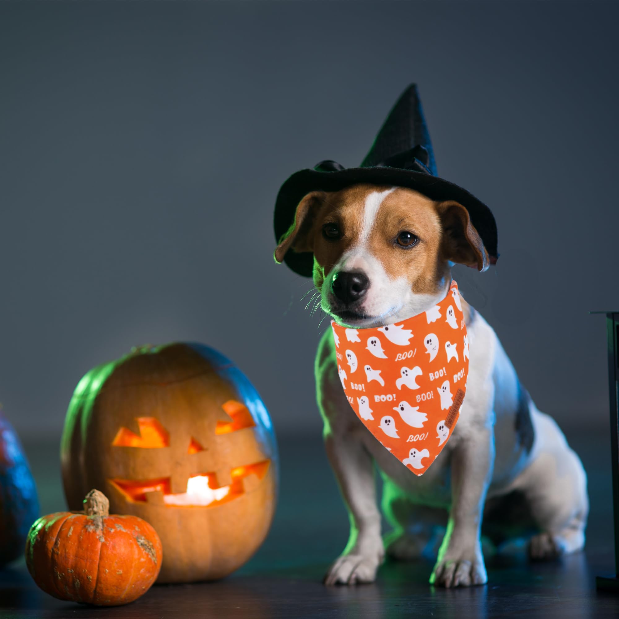 Adoggygo Halloween Dog Bandana, Spider Web Ghost Design Dog Scarf, Premium Durable Fabric, Orange Dog Halloween Bandanas For Small Dogs Cats Puppies (Small, Halloween)