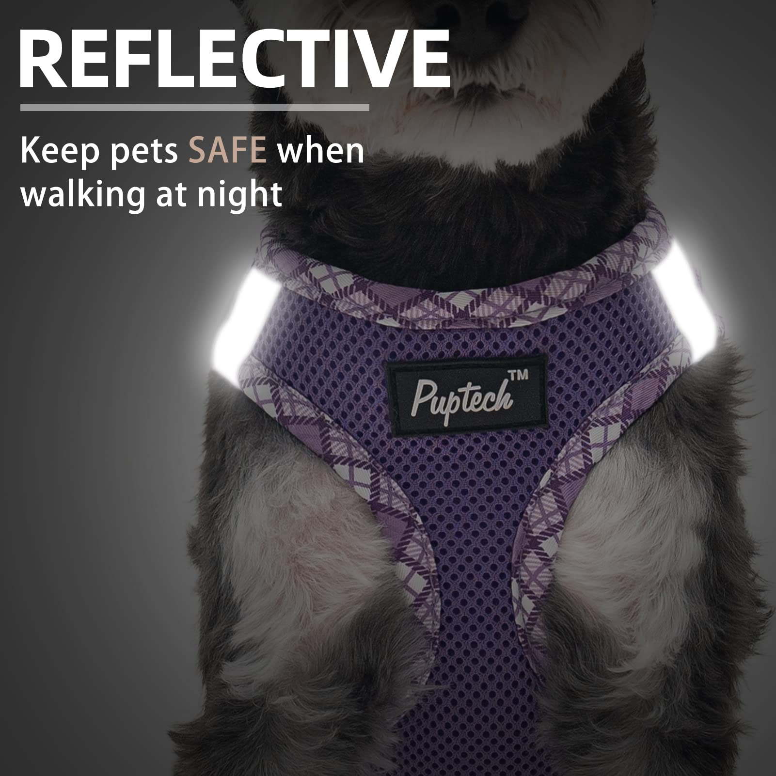 Pupteck Dog Harness And Leash Set For Small Medium Dogs No Pull Step-In Soft Mesh Puppy Cat Vest Harnesses Reflective At Night, Purple S