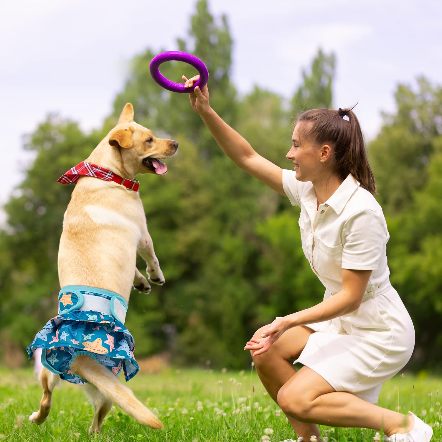 Pet Soft Washable Female Diapers (3 Pack) - Female Dog Diapers, Dress Style Comfort Reusable Doggy Diapers For Girl Dog In Period Heat (Ocean, L)