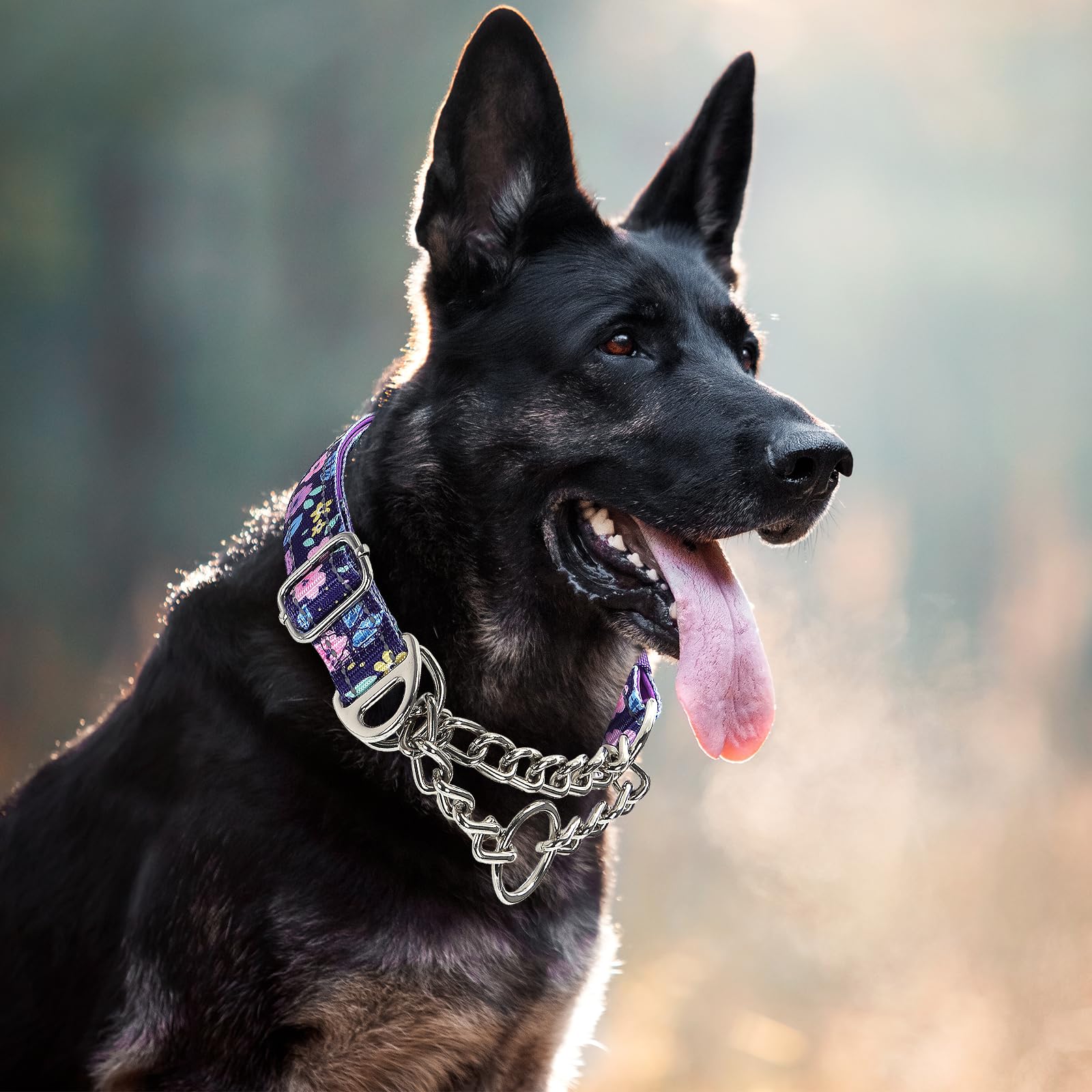 Martingale Dog Collar With Steel Chain, Adjustable Reflective Nylon & Soft Padded - For Medium, Large, Xl, Xxl Dogs For Training
