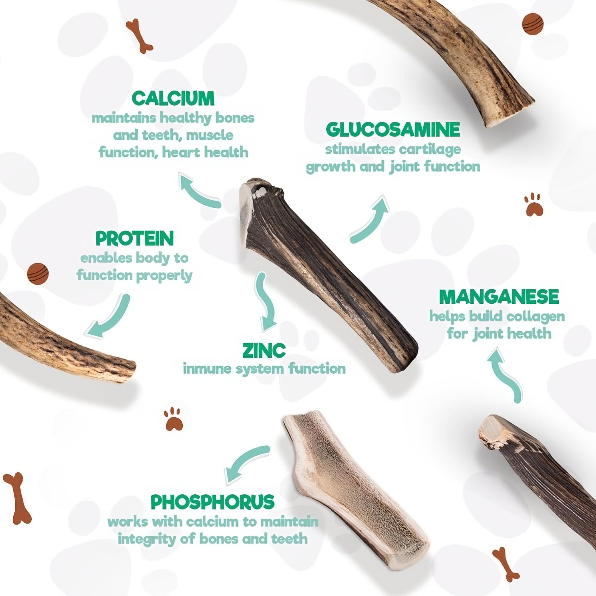 Jack&Pup Whole Elk Antlers For Dogs Large | Naturally Shed Rawhide Free Dog Chews Long Lasting Elk Horns For Dogs | Dog Antlers
