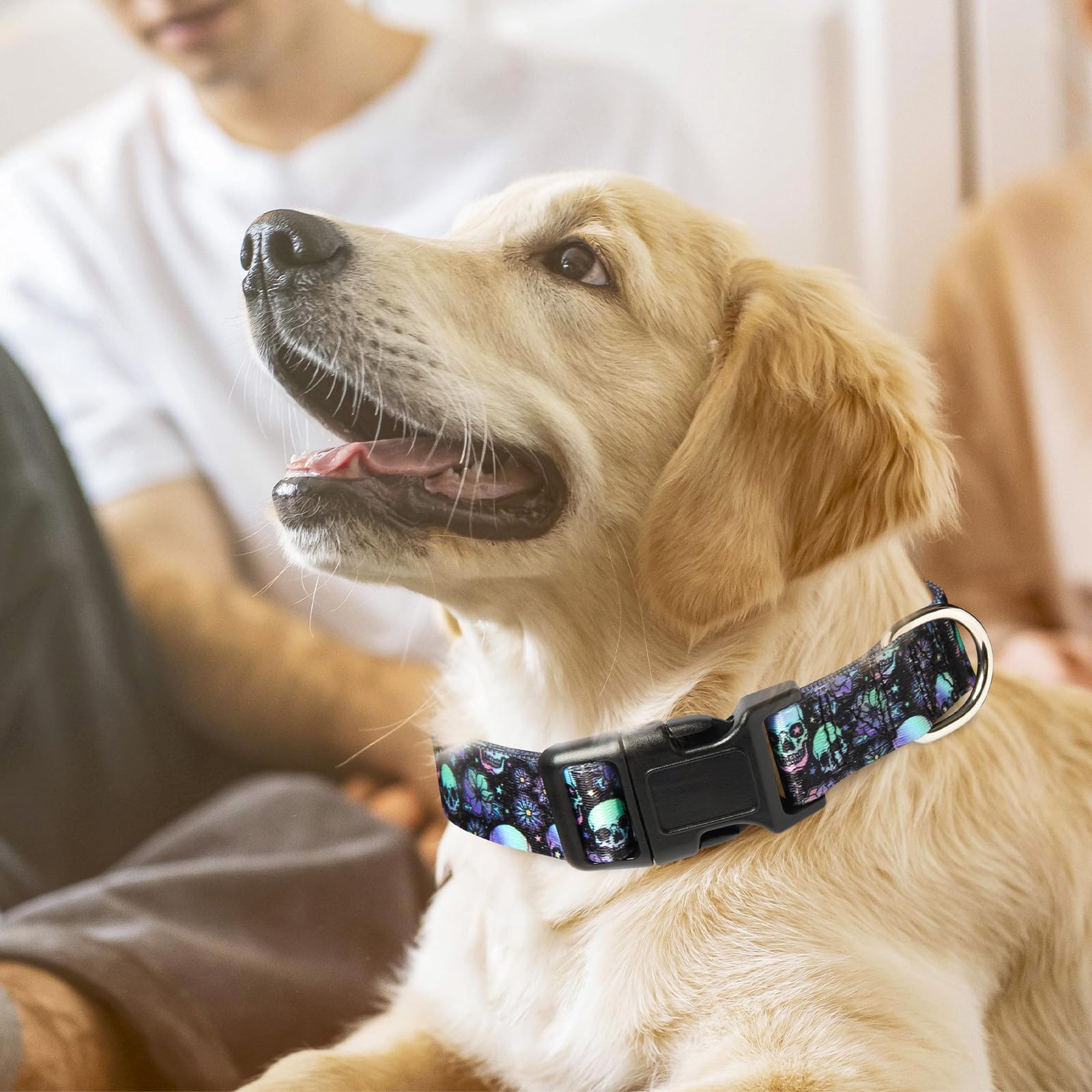 Dog Collars For Medium Boy And Girl Dogs, Adjustable Soft Skull Patterns Dog Collar With Quick Release Buckle For Xs Small Mediu