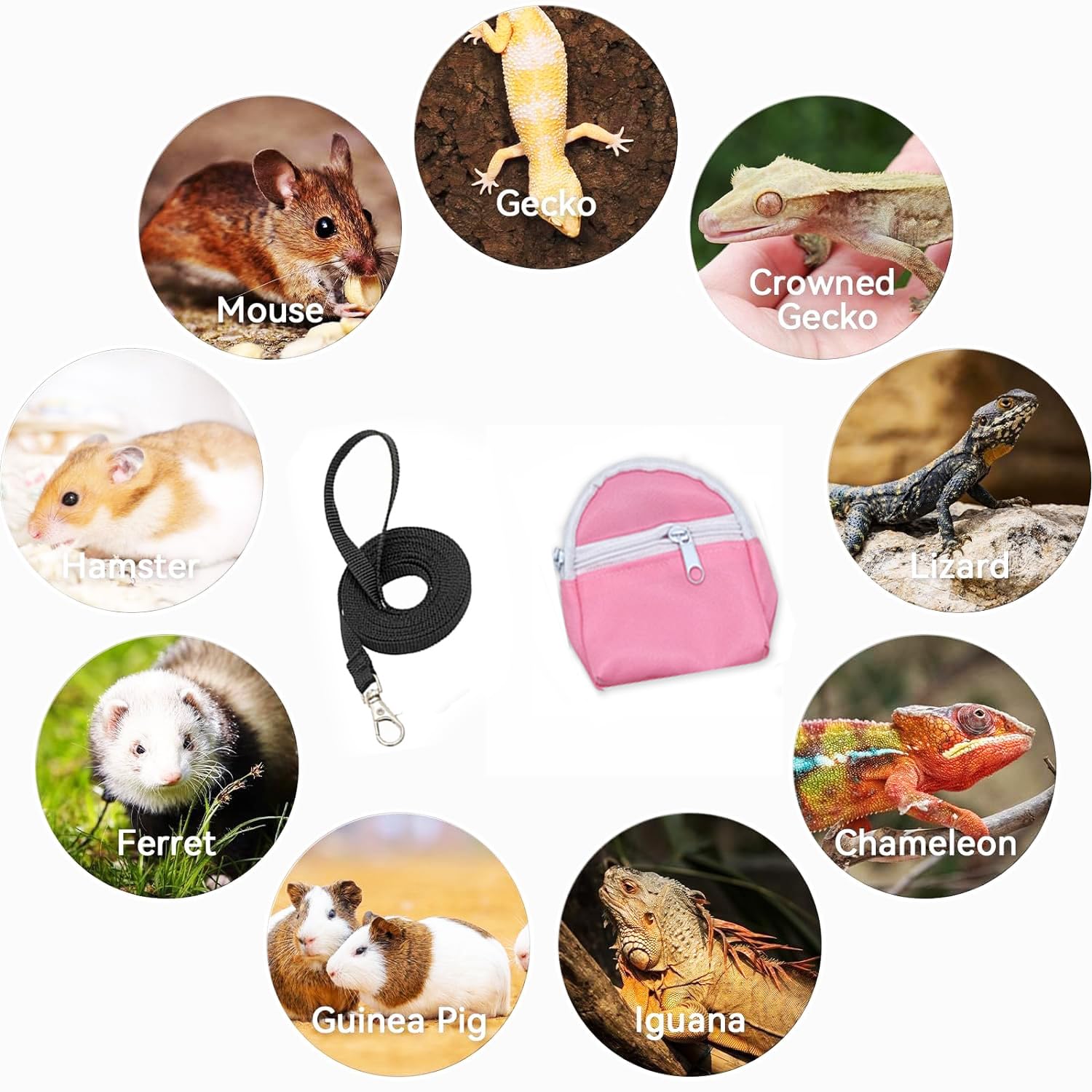 Leopard Gecko Backpack Carrier,Reptile Portable Backpack Carrier With Small Backpack Harness Leash Set,Space Capsule Clear Bubbl