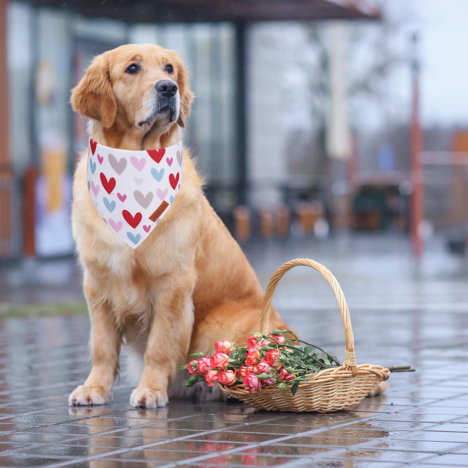 Ptdecor Valentine Dog Bandana, Reversible Holiday Dog Scarf, Multi Size, Heart Valentine Bandanas For Large X-Large Dogs Pets (X