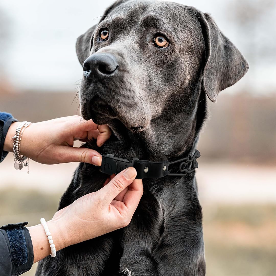Herm Sprenger Prong Collar For Dog Training With Easy Quick Release Clicklock & Swivel Ring - German Made Dog Collar With Black