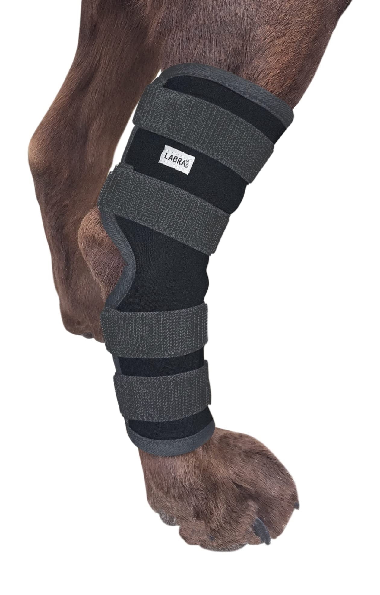 Labra Dog Rear Leg Hock Joint Compression Wrap - Supportive Brace for Weak Back Legs, ACL Tear, and Joint Discomfort - Adjustabl