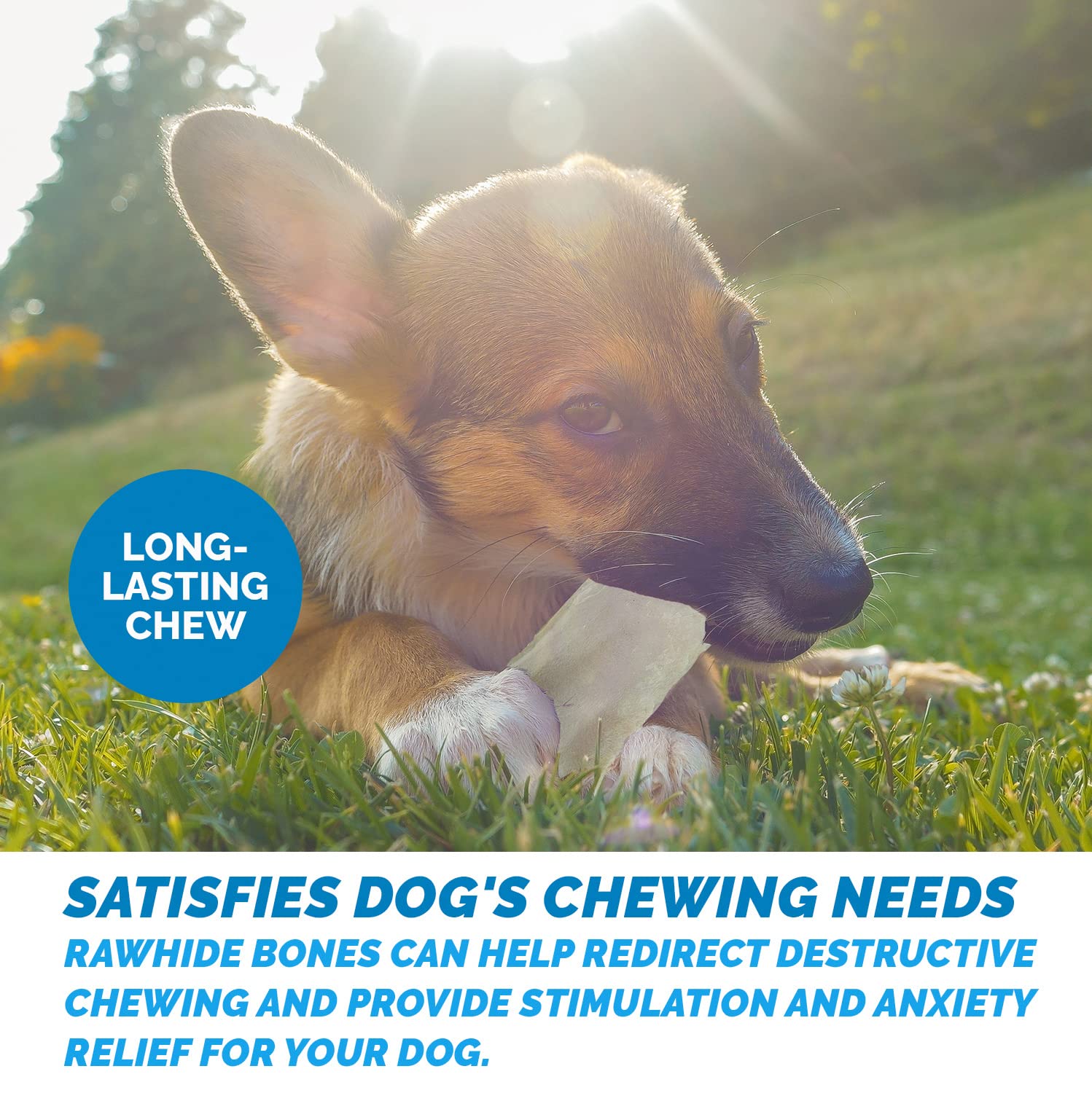 123 Treats Rawhide Chews Dog Chips, Premium Beef Hide (1 Pound) Natural Grass Fed Livestock with No Hormones, Additives or Chemi