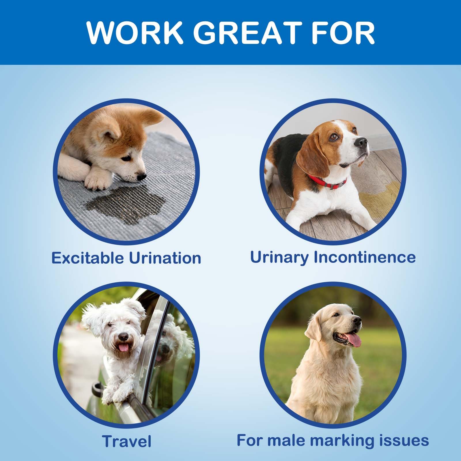 Disposable Belly Bands For Male Dogs,Puppy Diapers Male With Wetness Indicator, Super Absorbent Soft Male Dog Diapers (Xs, 40)