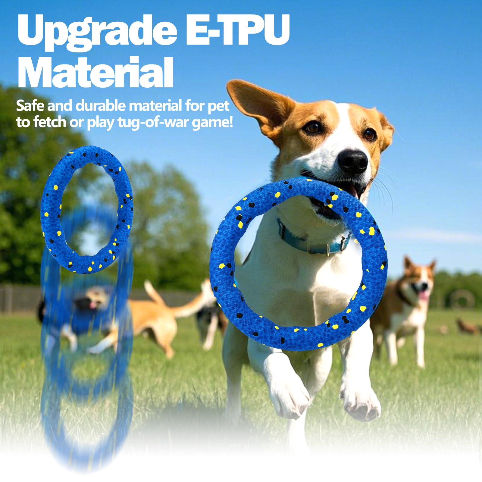 Mity Rain Floating Dog Toys -E-Tpu Water Pool Fetching Toy With Rope For Small Medium Large Pet, Ring Shape Indestructible Inter