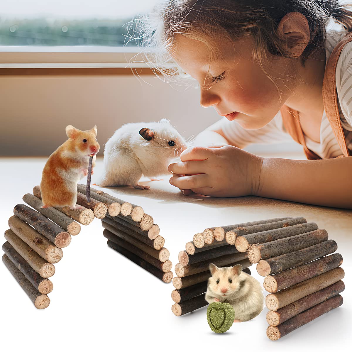 Hamster Toys Guinea Pig Toys Hamster Wheel Hamster Cage Accessories Small Animal Molar Chew Toys For Chinchillas,Gerbils,Mice,Ra