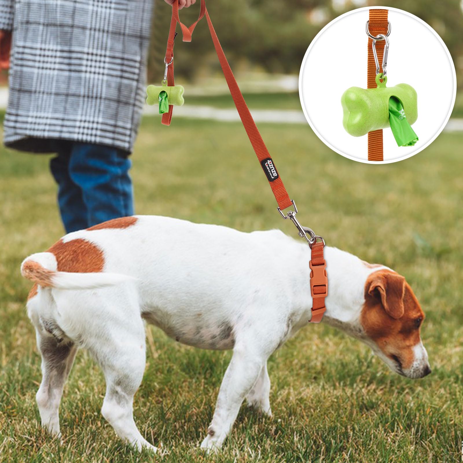 Azuza 3 Pack Fall Nylon Dog Leashes Strong & Durable Basic Dog Leash With Easy To Use Collar Hook For Small Dogs, S (6Ft,5/8'')