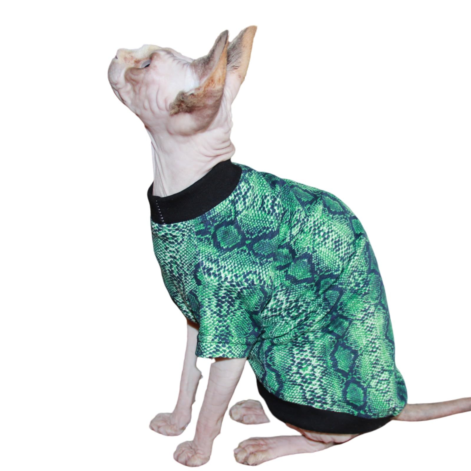 Sphynx Cat Clothes Vest Hairless Cat T-Shirts Pet Kitten Clothes Kitten Shirts Vest Cats & Small Dogs Apparel (Snake Round Neck,