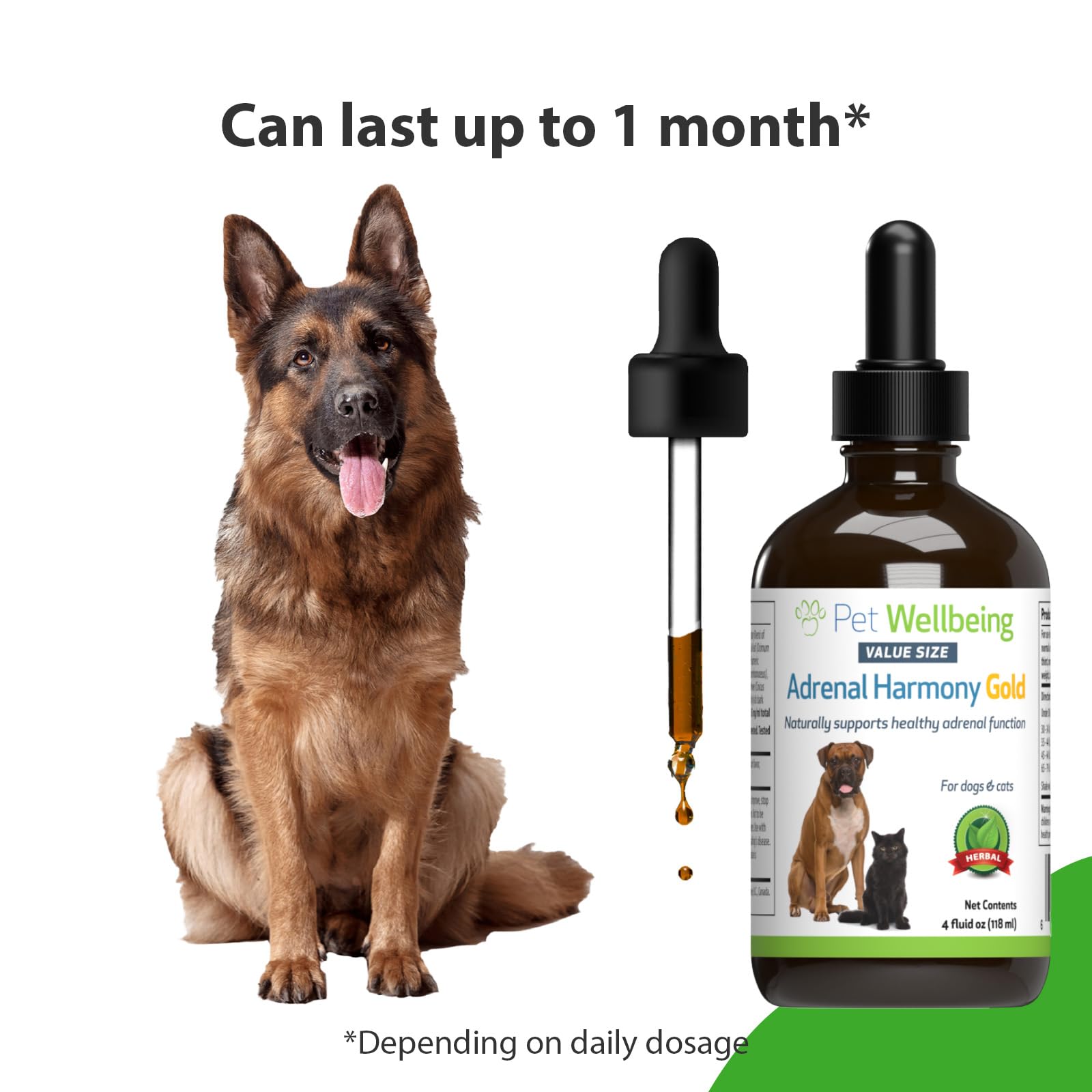 Pet Wellbeing Adrenal Harmony Gold for Dogs - Supports Adrenal Function & Normal Cortisol Levels with Ashwagandha & Bacopa - NAS