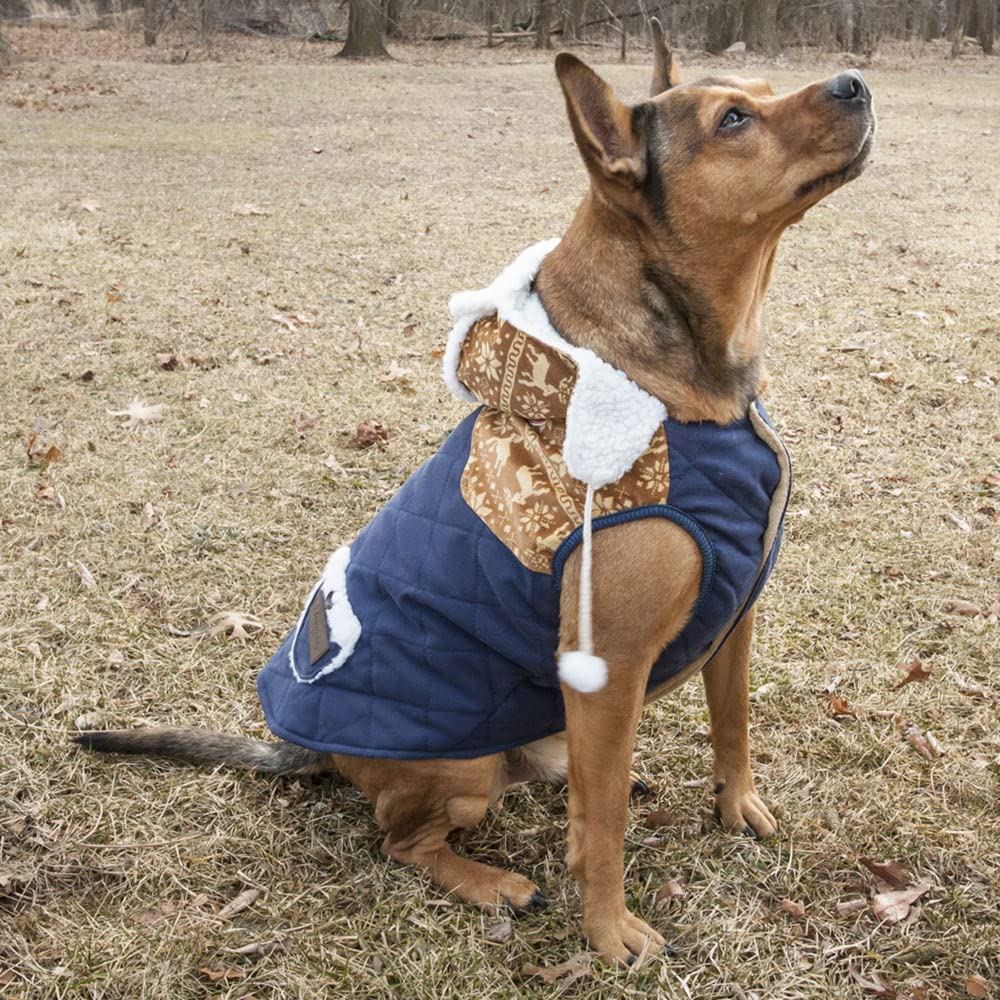 TOUCHDOG 'Snowadayz' Pom Pom Fashion Designer Pet Dog Coat Hooded Sweater Jacket Hoodie, X-Large, Yellow / Blue