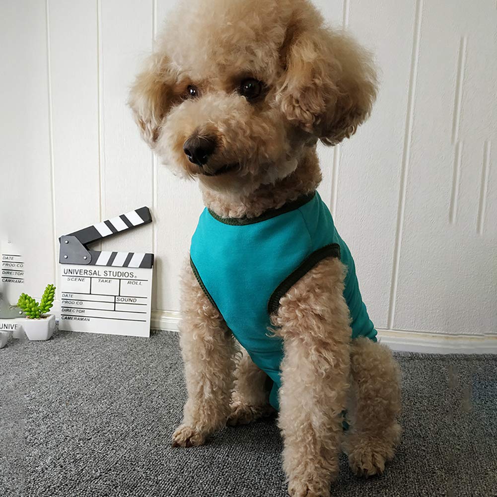 Dogs Recovery Suit Post Surgery Shirt For Puppy, Wound Protective Clothes For Little Animals(Blue-L)