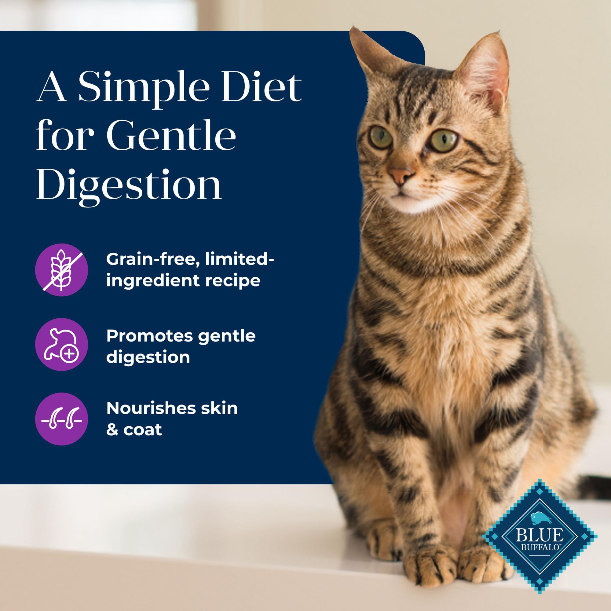 Blue Buffalo Basics Grain-Free Adult Wet Cat Food, Skin & Stomach Care, Limited Ingredient Diet, Turkey Recipe, 5.5-oz Can, 24 C