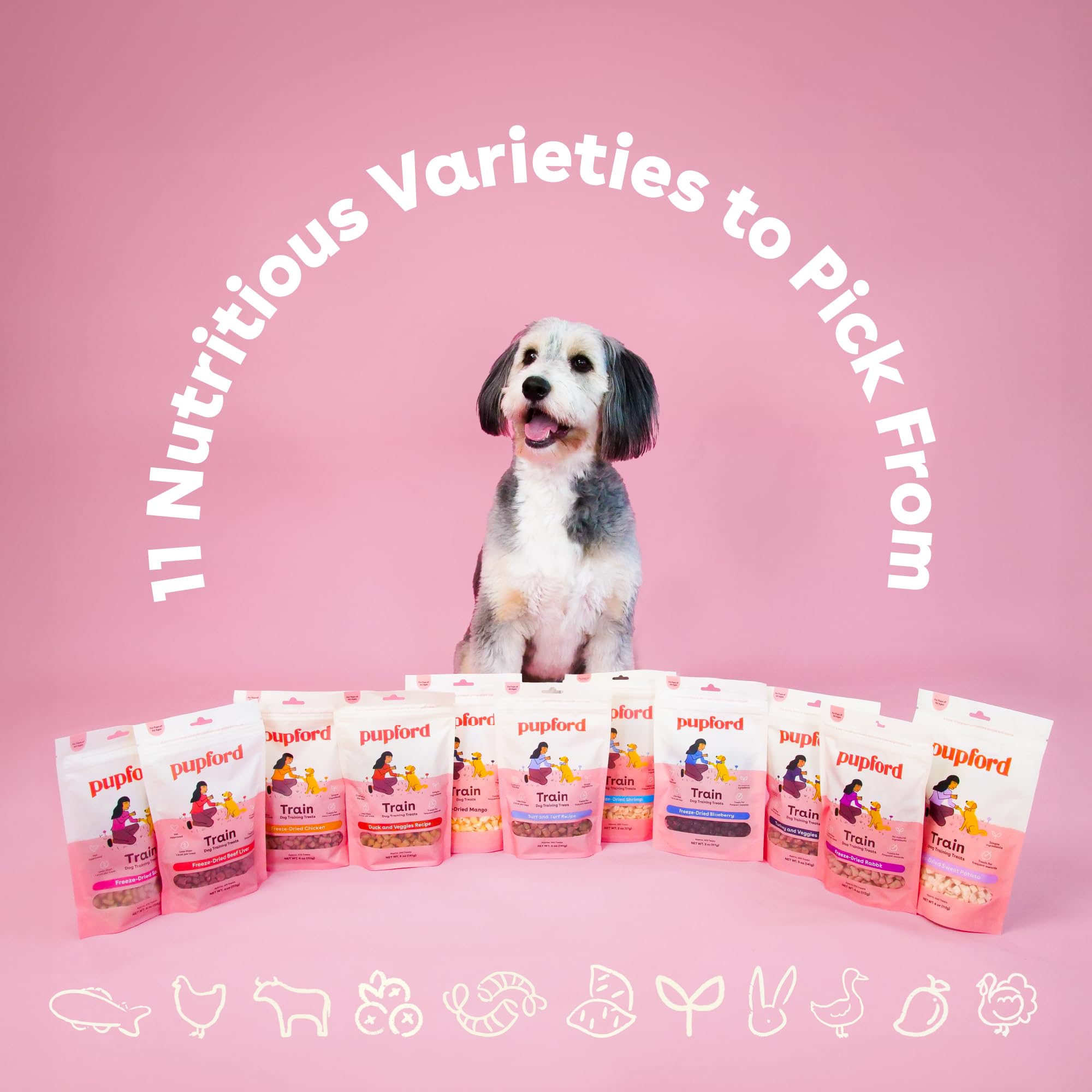 Pupford Freeze Dried Training Treats for Dogs & Puppies, 225+ Two Ingredient Bites (Salmon, 2 oz)