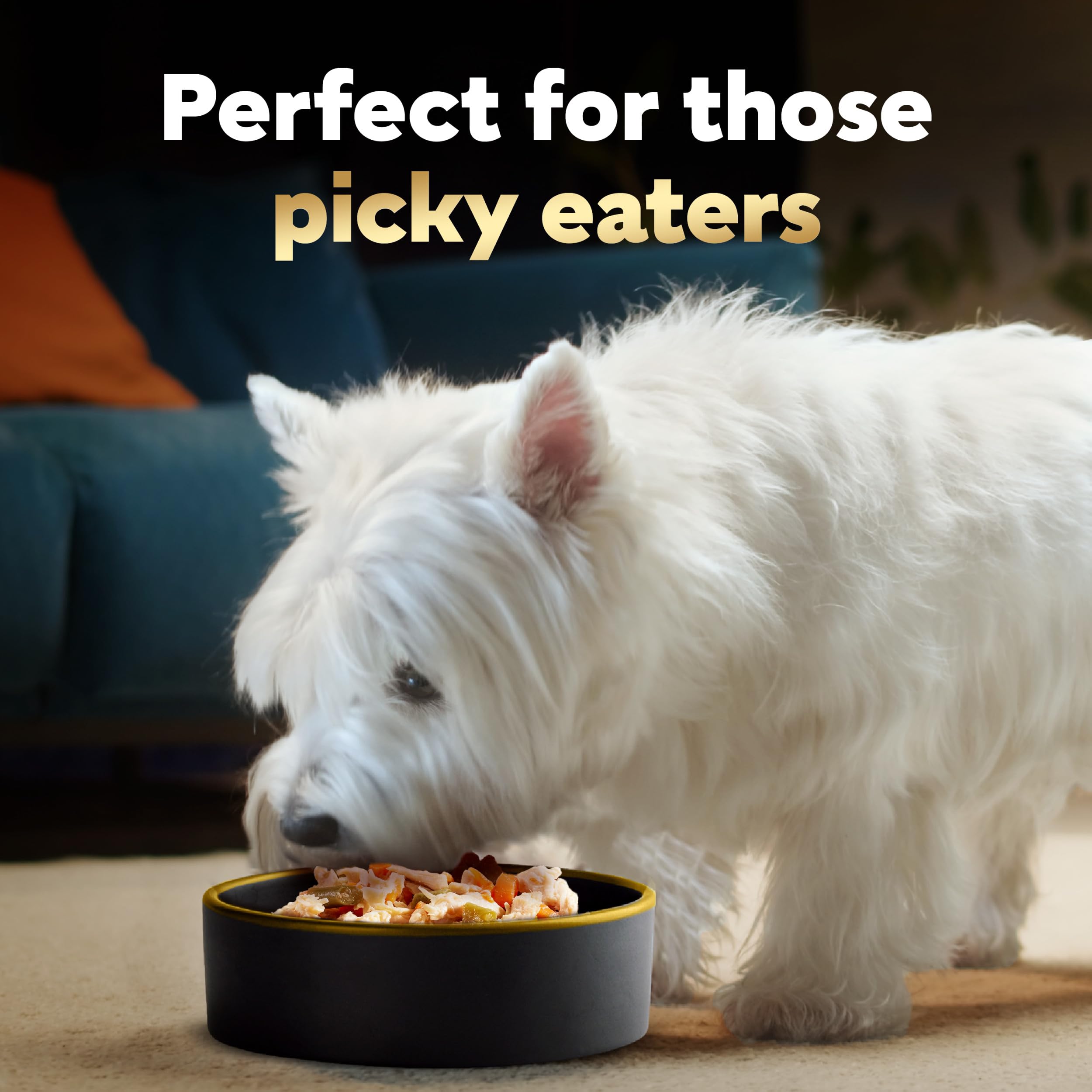 Cesar Simply Crafted Adult Wet Dog Food Meal Topper, Chicken and Chicken, Carrots & Green Beans Variety Pack, 1.3oz. (8 Count, P