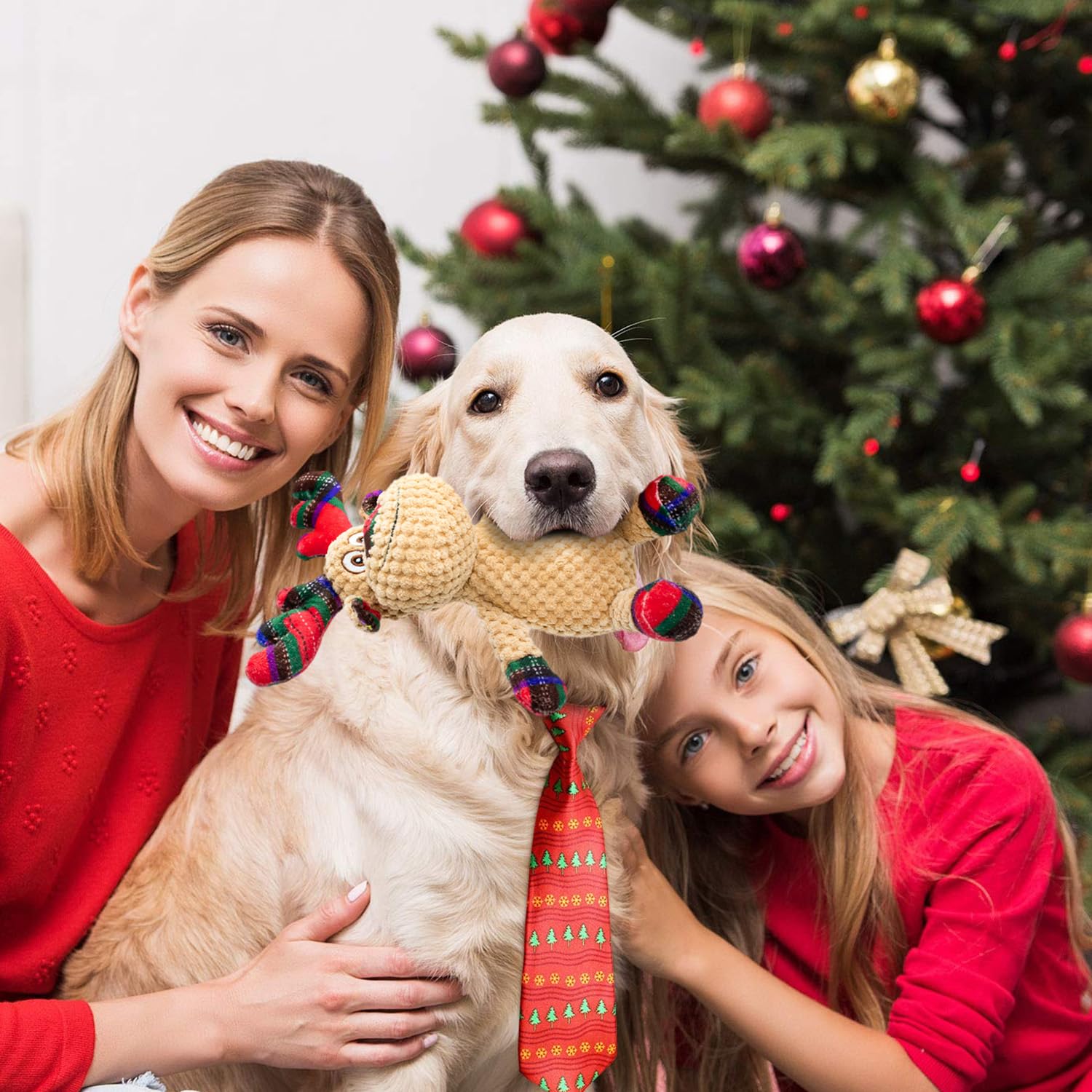 Cneeeeeb Dog Toys Squeaky Interactive Stuffed Pp Cotton Puppy Teething Chew Toy Deer Shape Crinkle Sound Paper Tail, For Large M